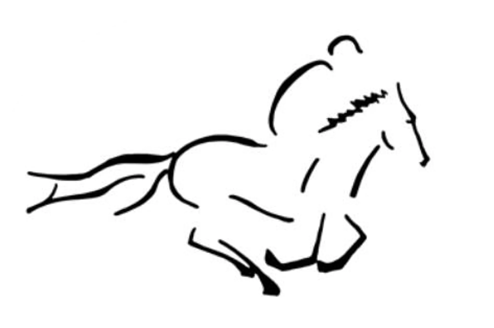 Poney Club de Flourens