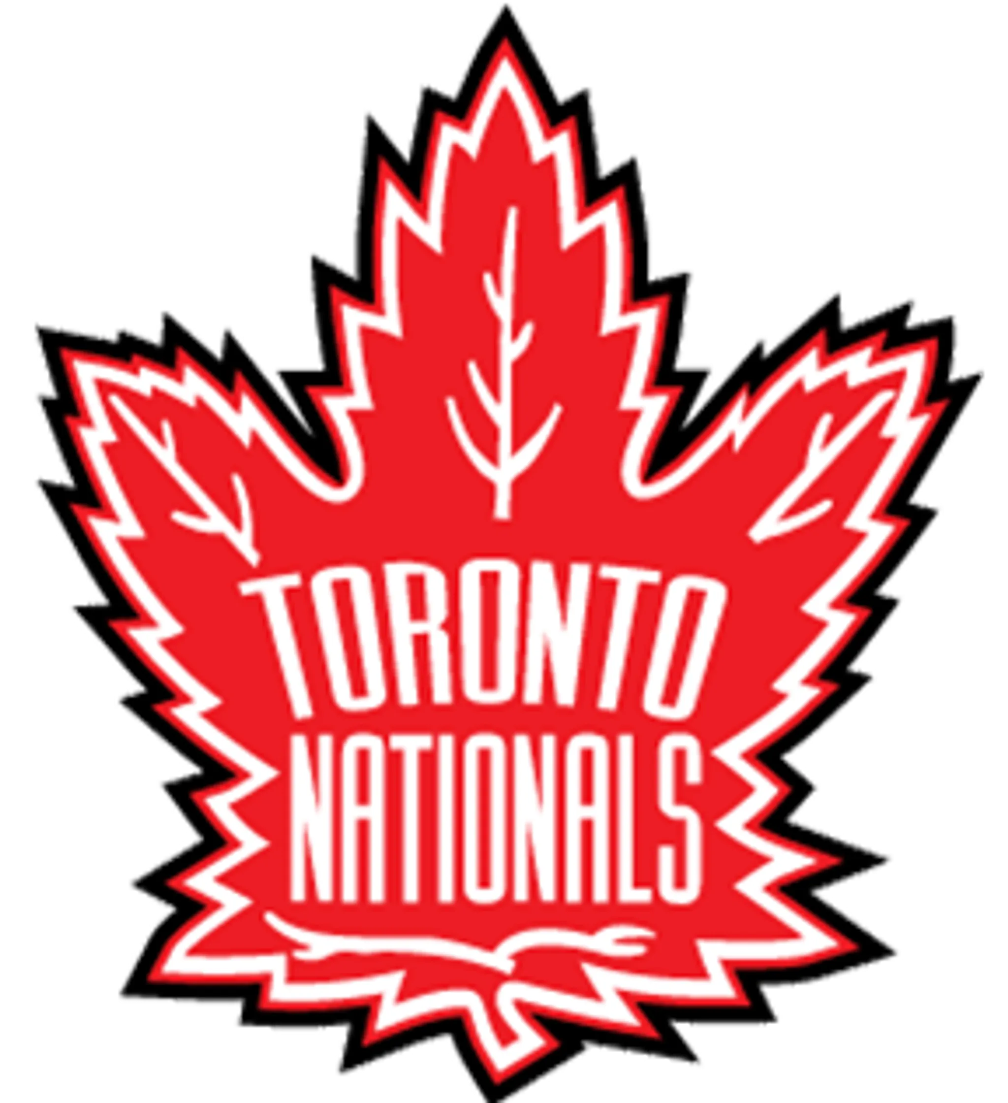 Young Nationals Hockey Team