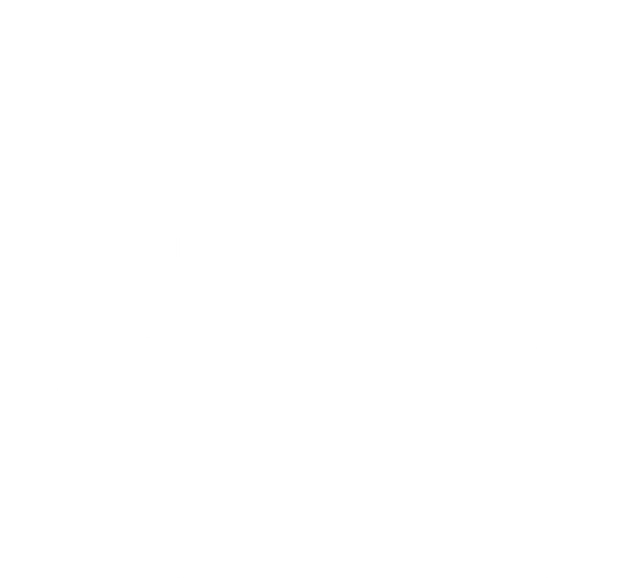 Freespeed Bike Fit Ltd