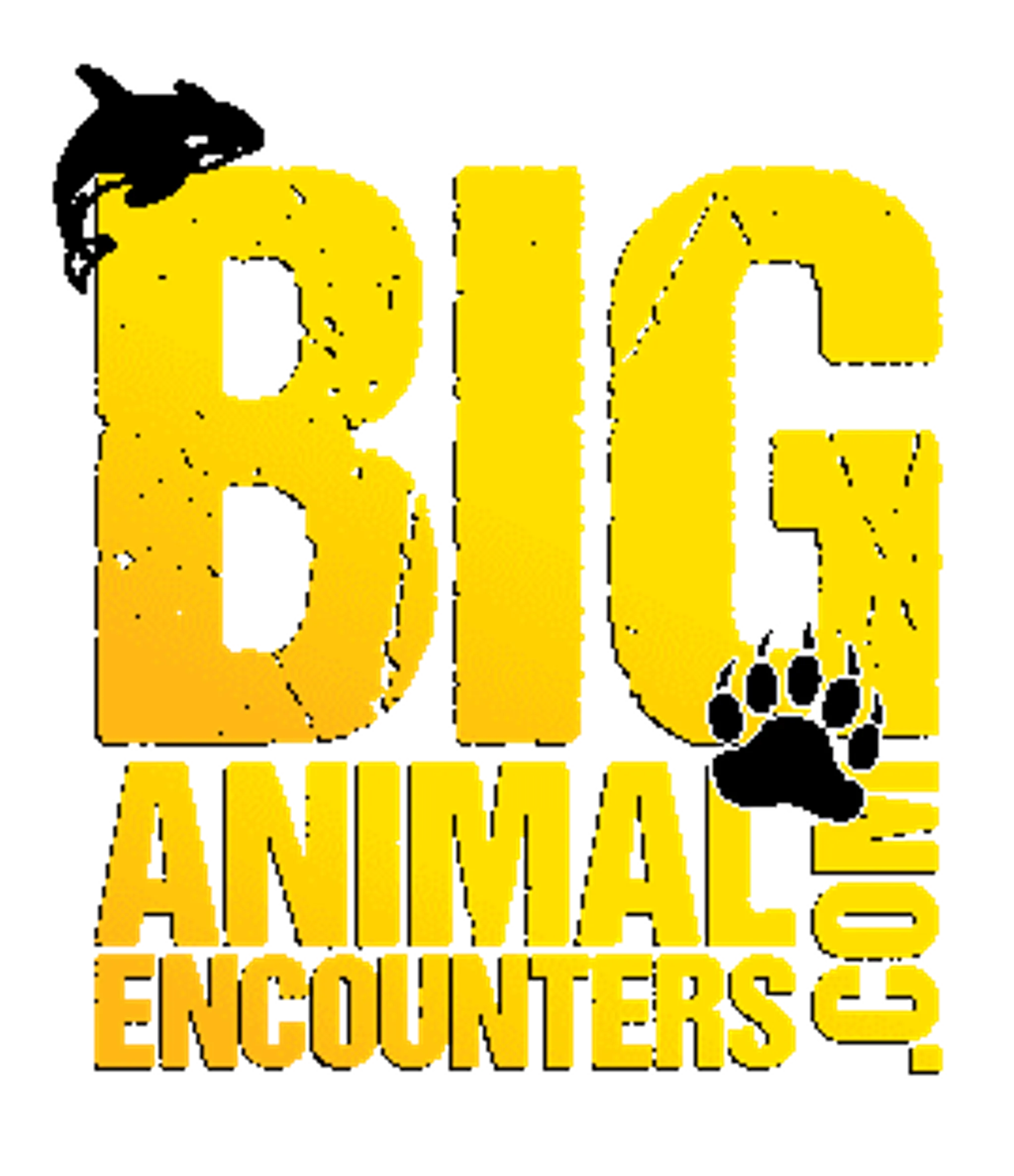 Big Animal Encounters