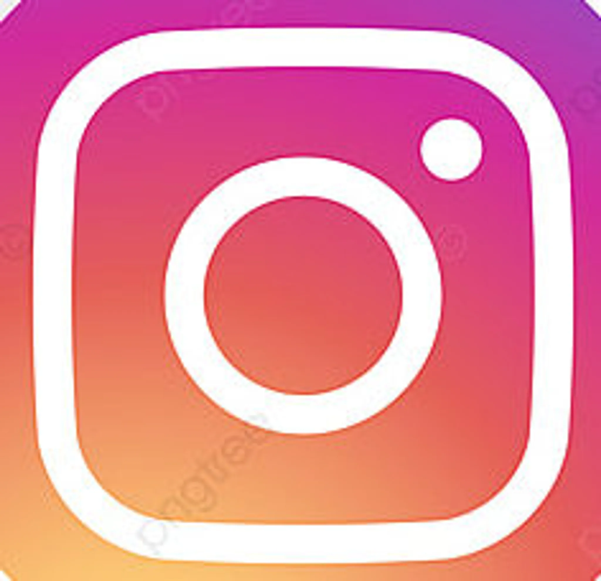 Rainbow Rocket Climbing Centre