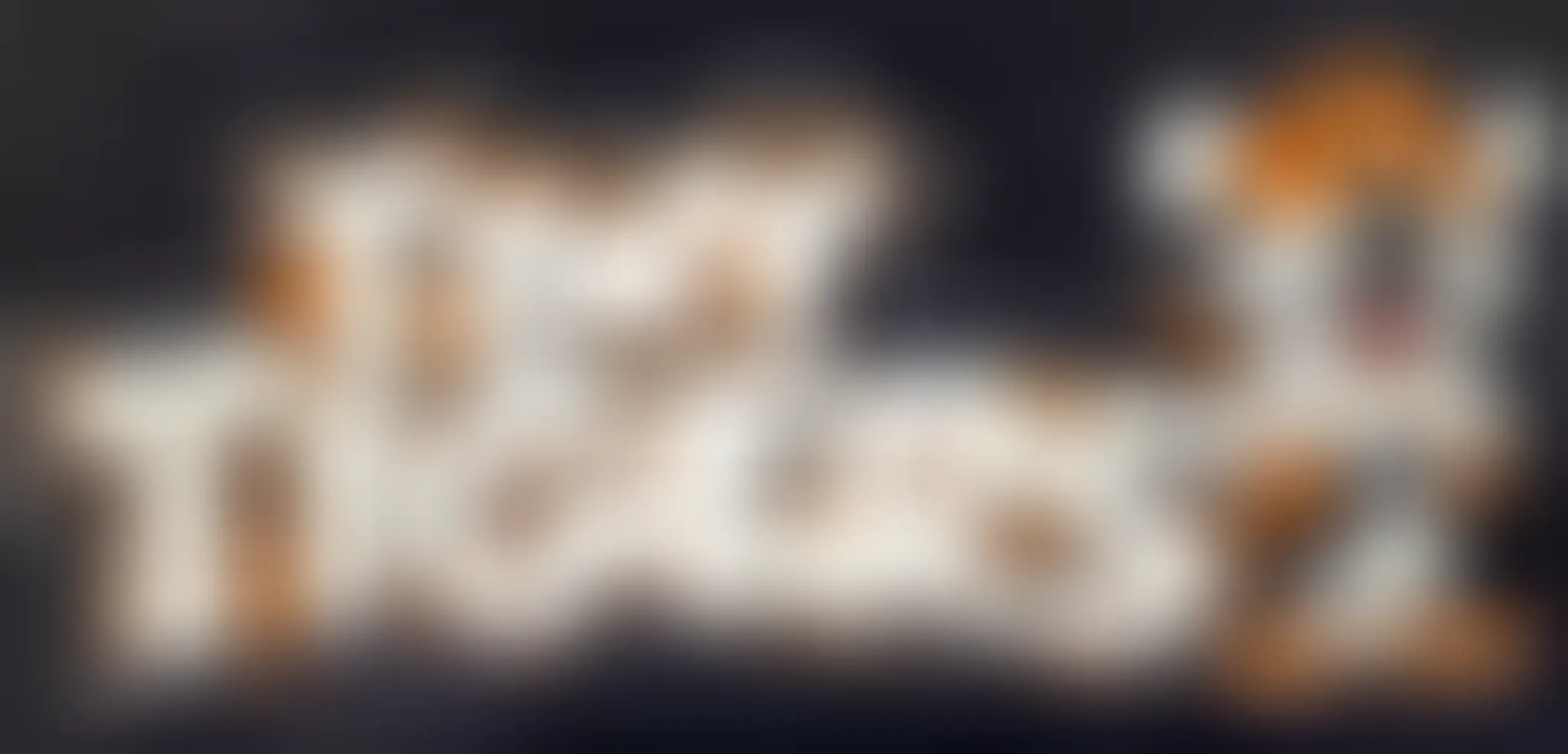 Little Lions Karate Club