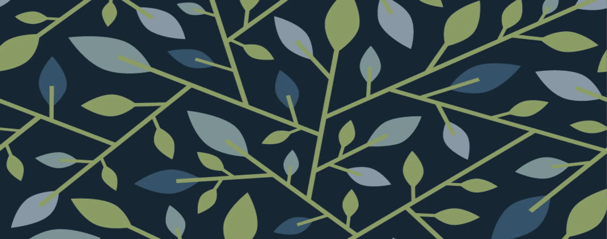 Junior Golf School Lessons at Birchwood