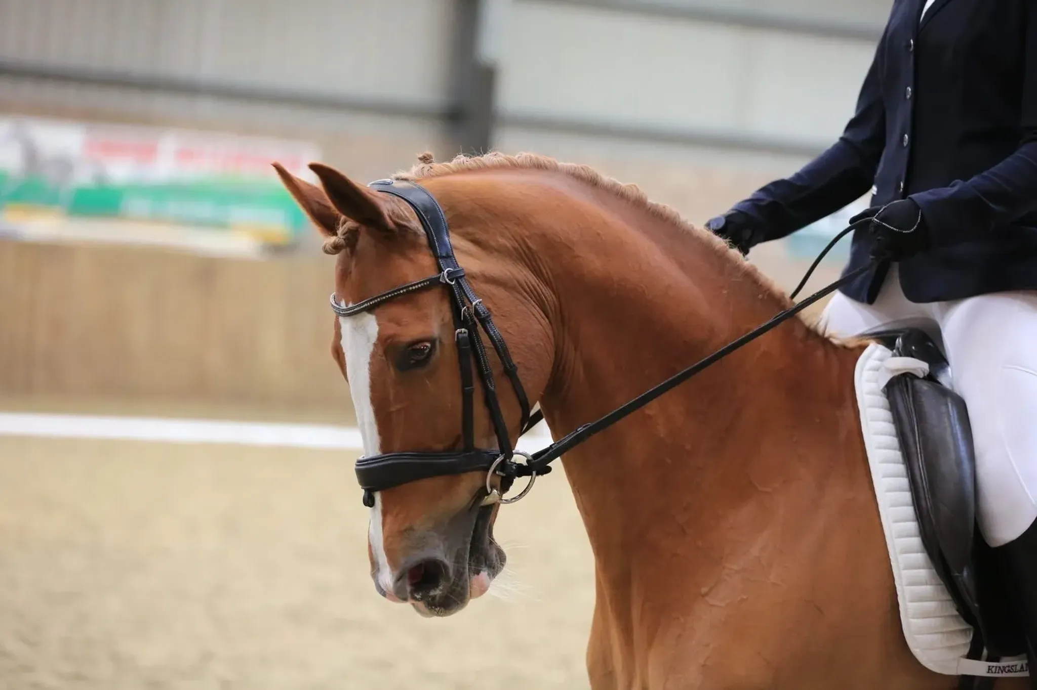 Liege Manor Equestrian Centre
