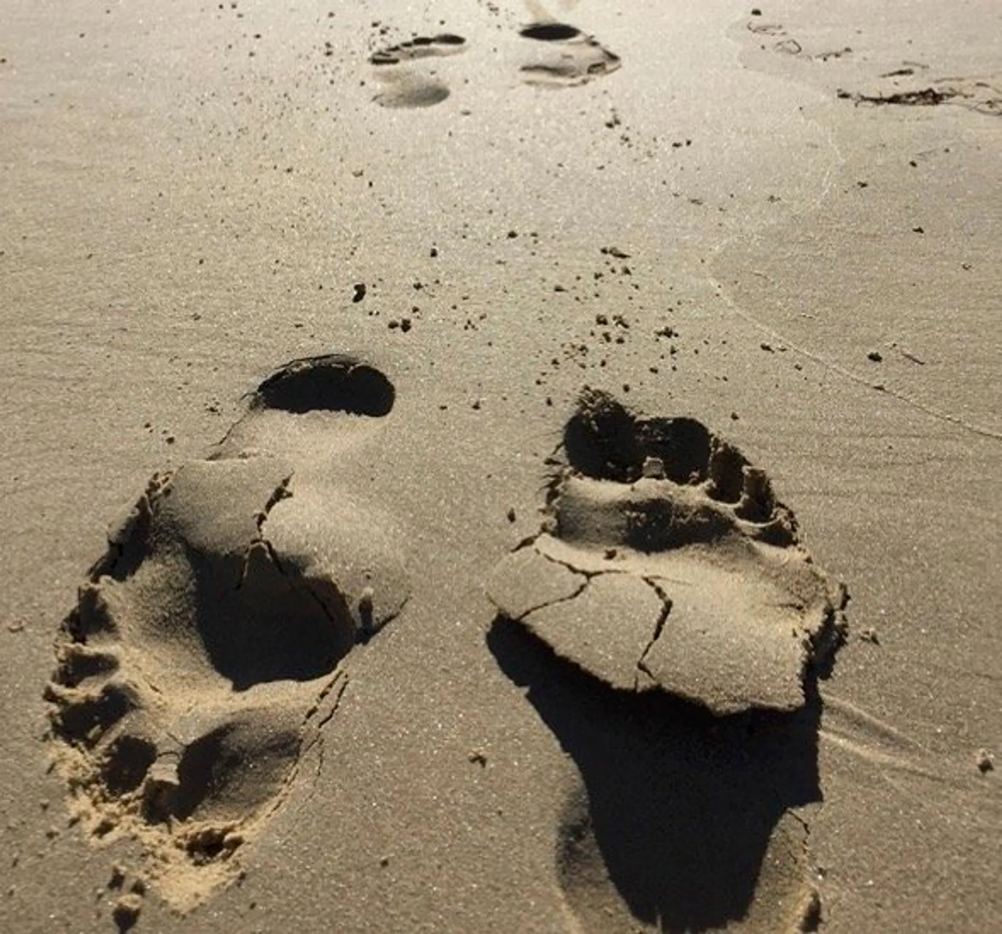 Holistic Dietitian & Yoga Therapist