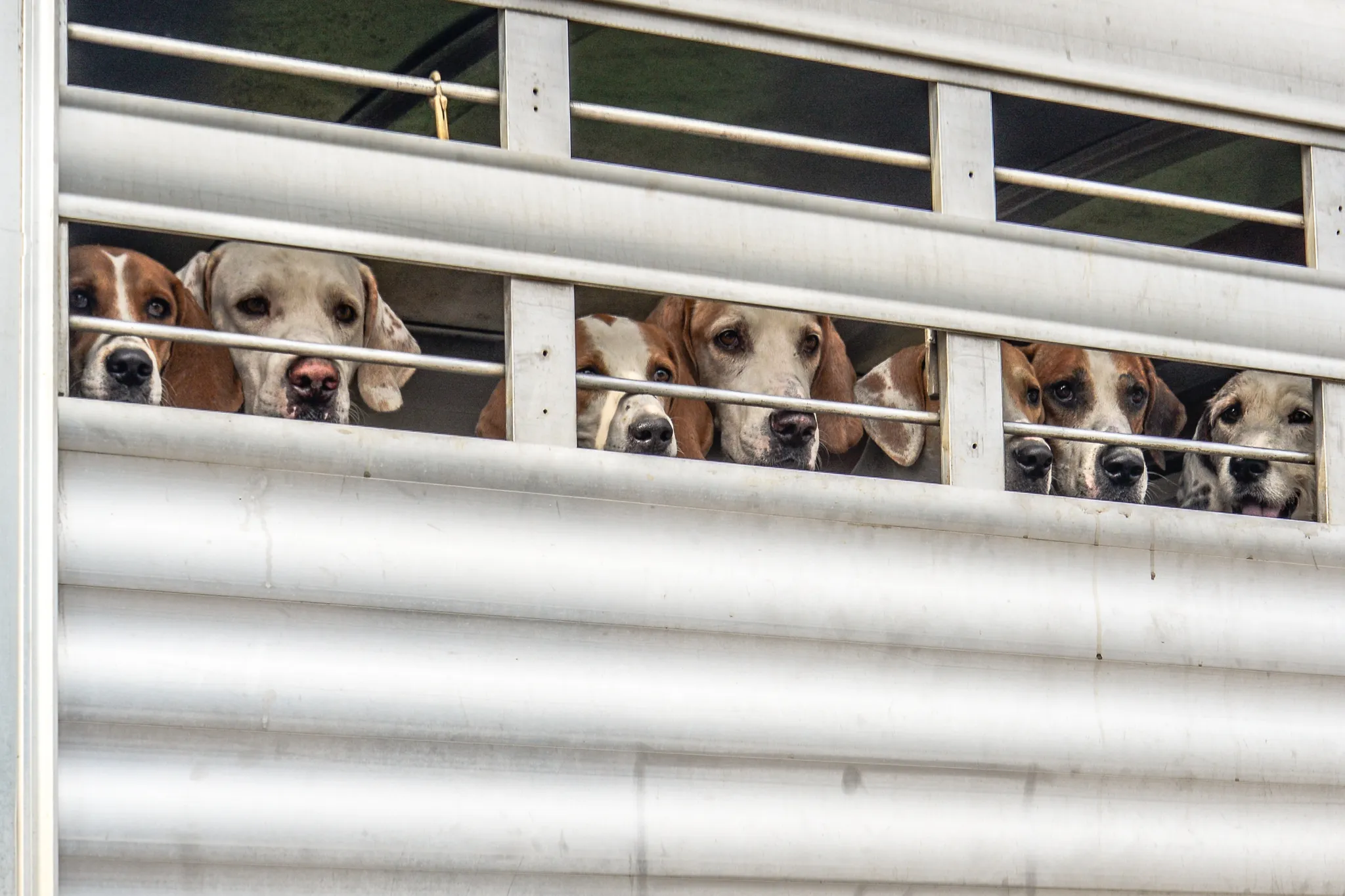 ECH Labour Day Hunter Pace