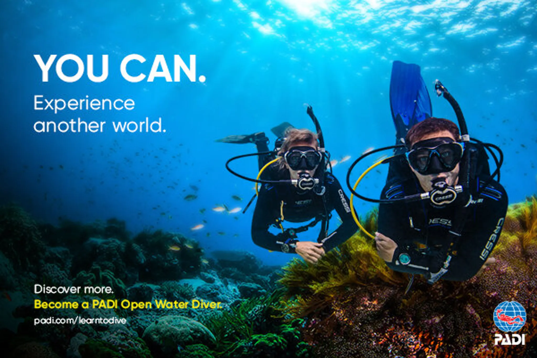 PADI Pro Dive Courses with The Dive Company