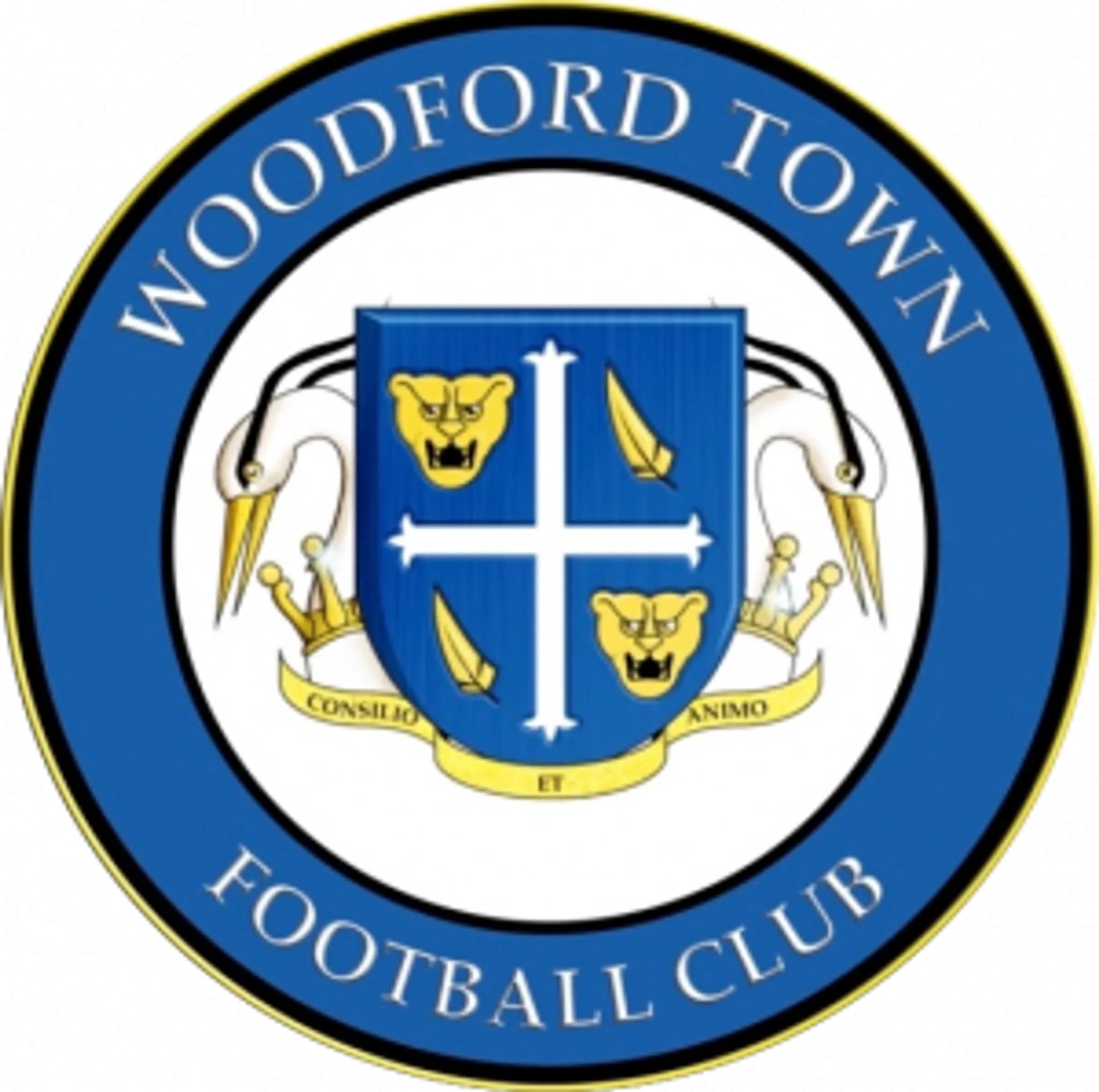 WOODFORD TOWN FOOTBALL CLUB