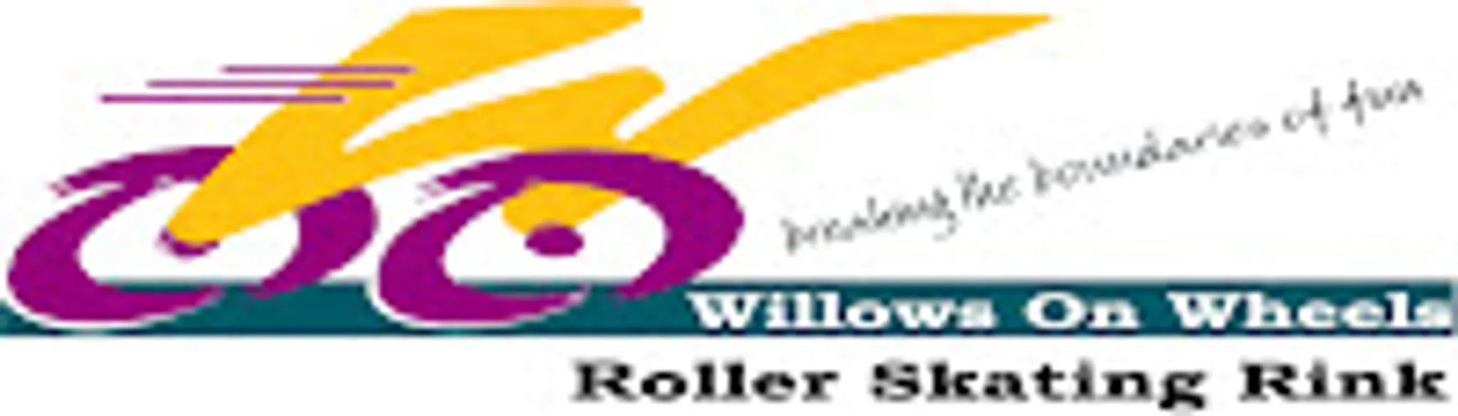 Towns Villains Roller Derby League