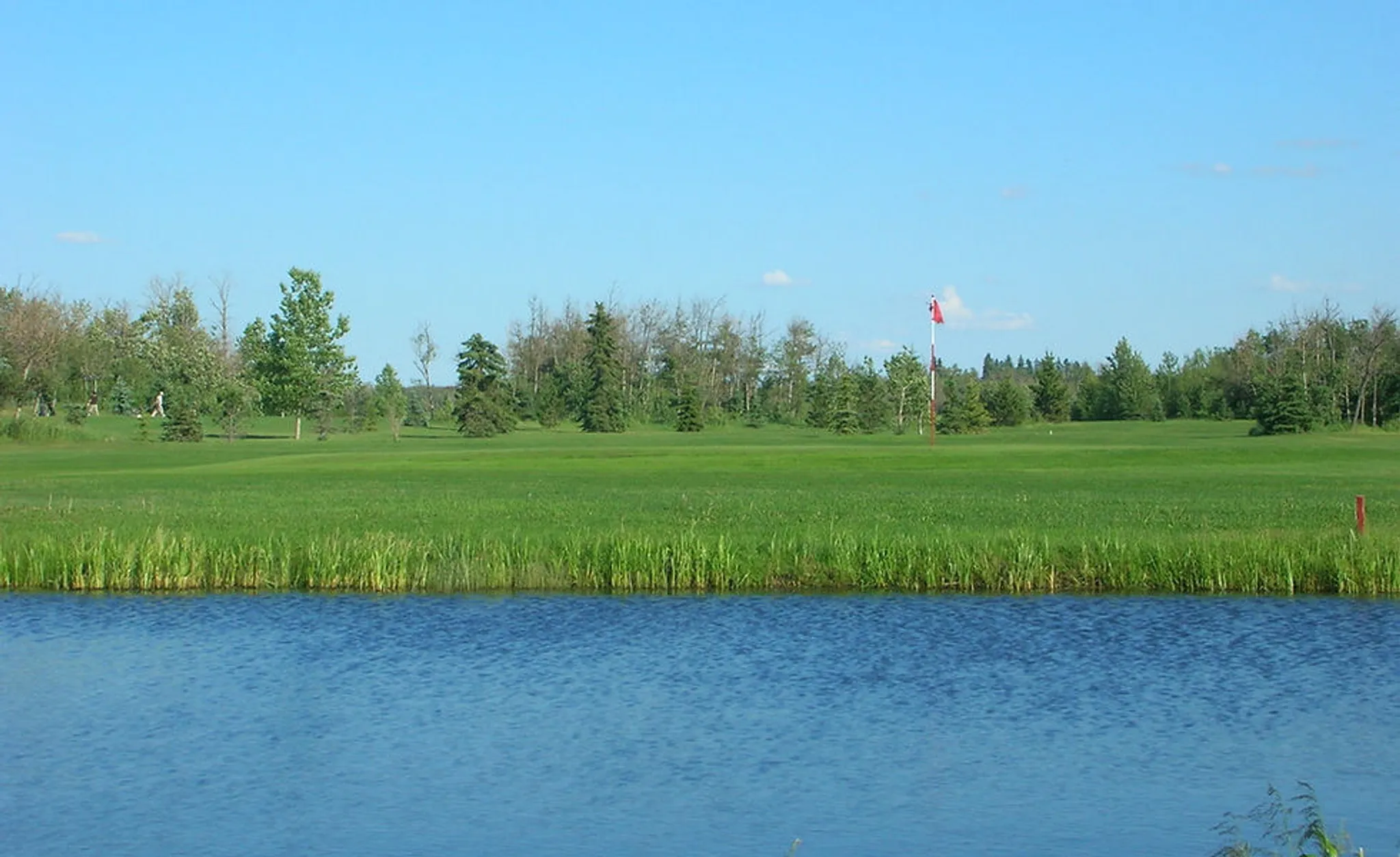 Tees & Tacos Golf Tournament