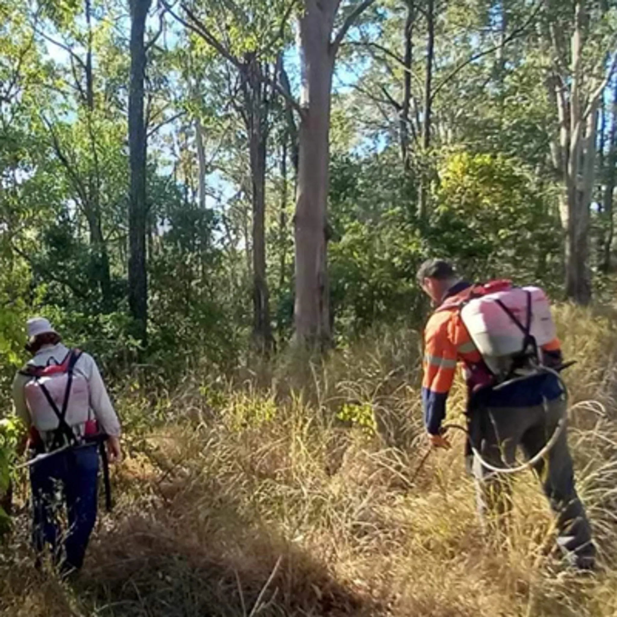 Springwood District Australian Football Club