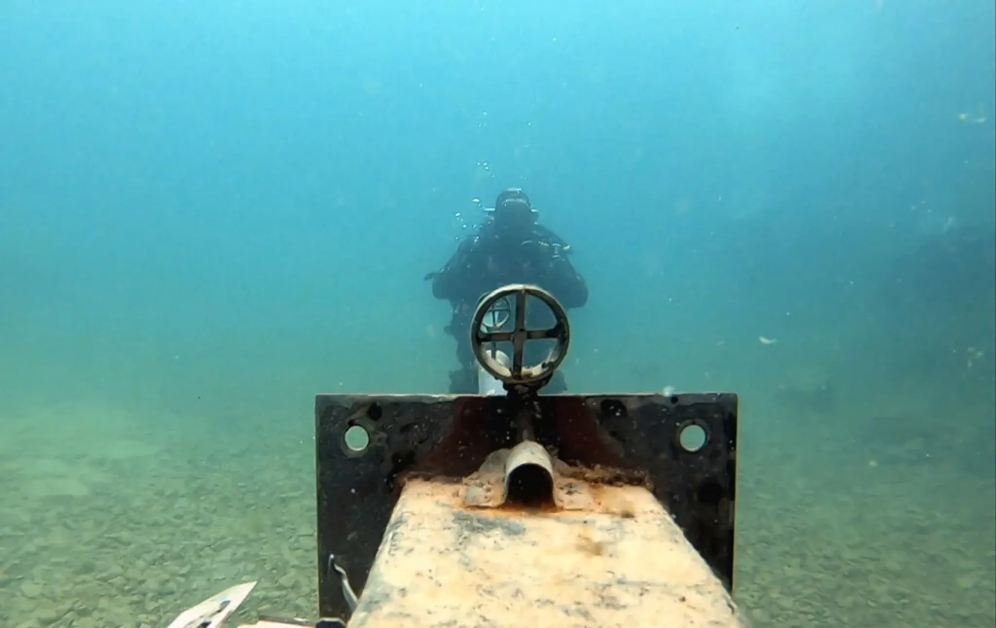 Free Dive Trip to Plymouth