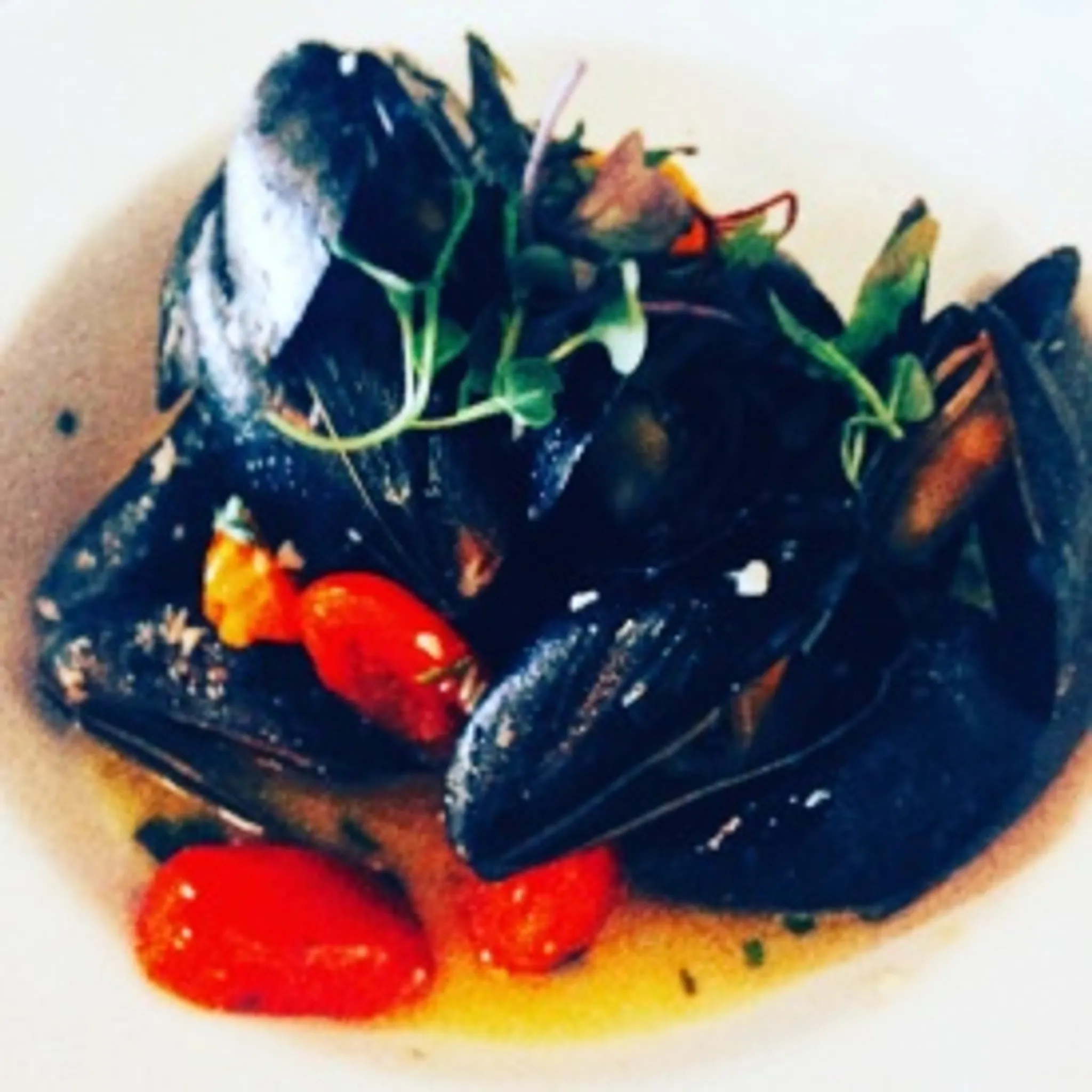 Safari Bar and Grill