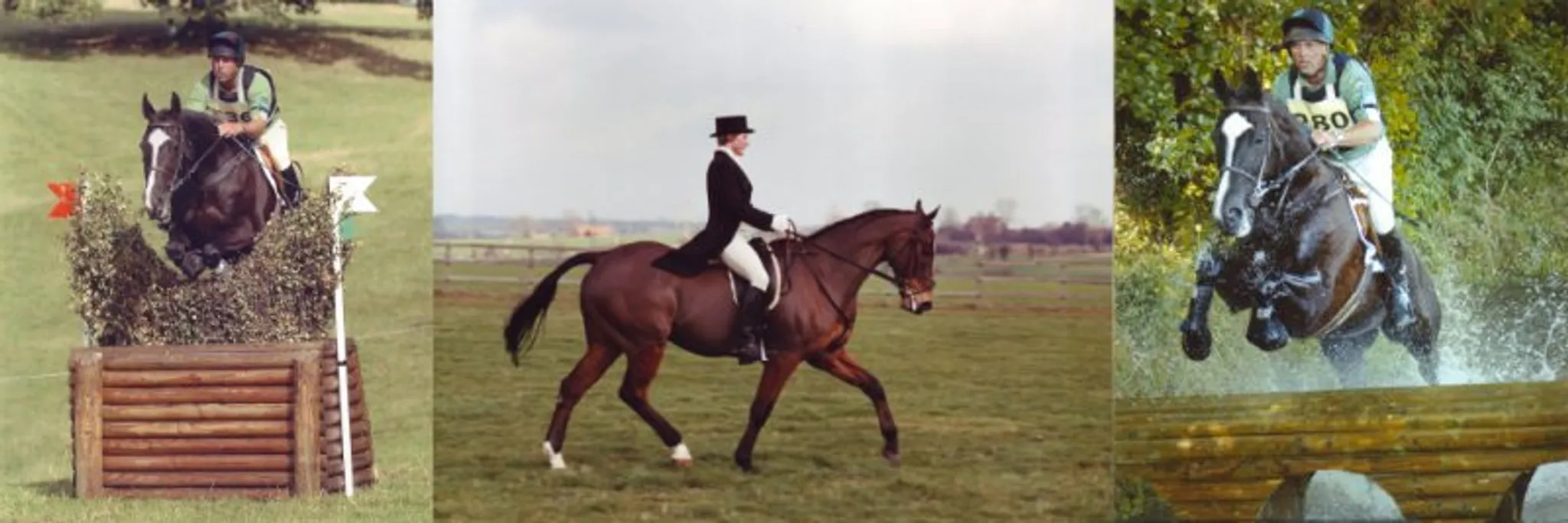 High House Farm Equestrian Services