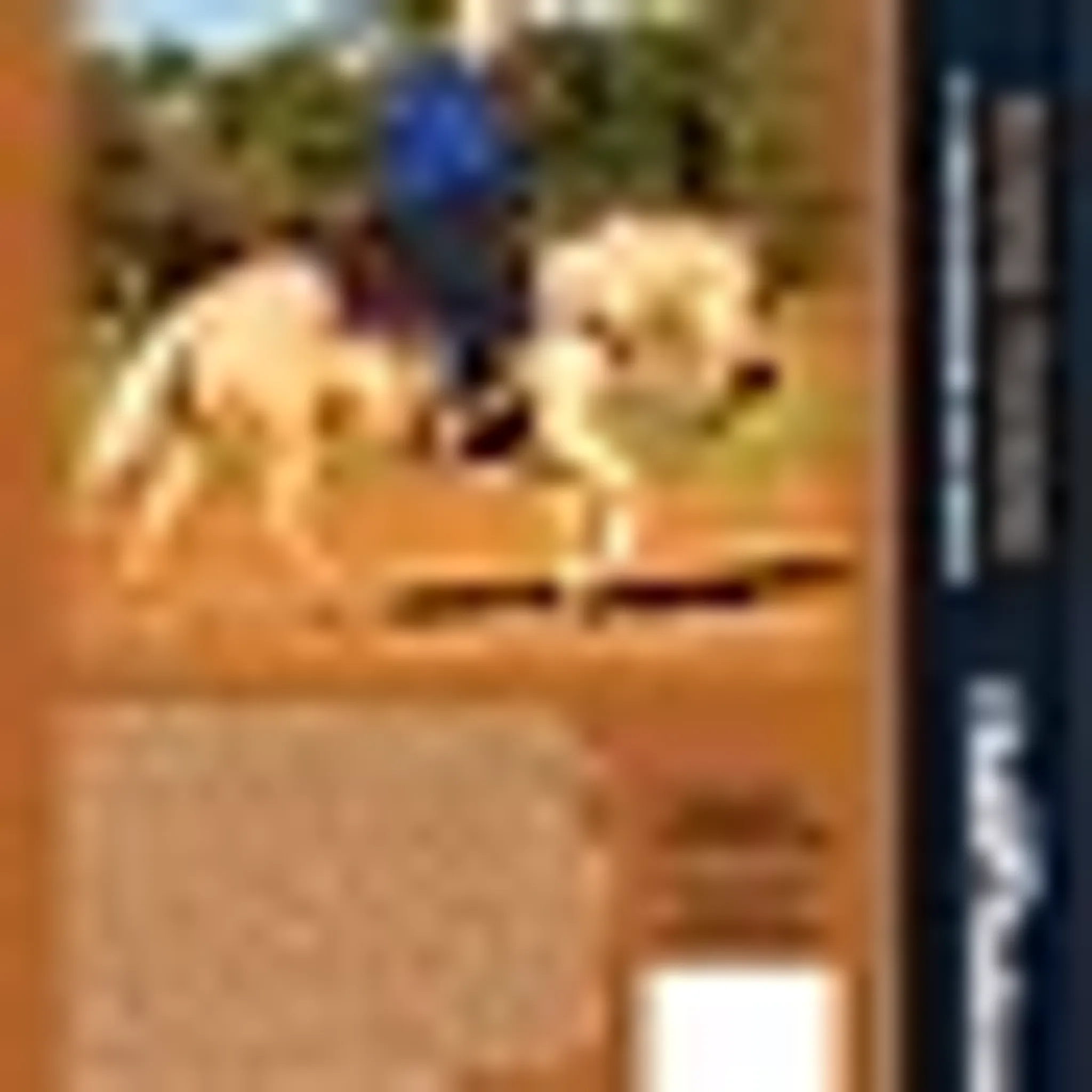 Ian Francis Horsemanship