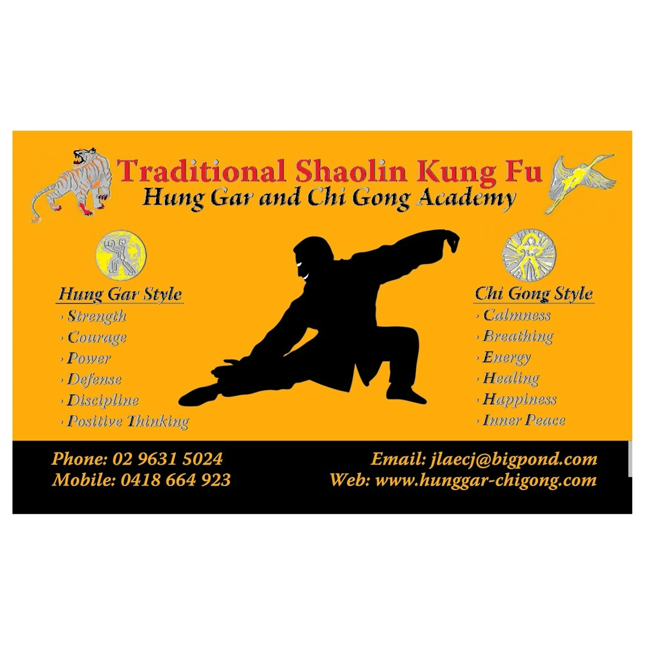 Traditional Shaolin Kung Fu Academy Sydney