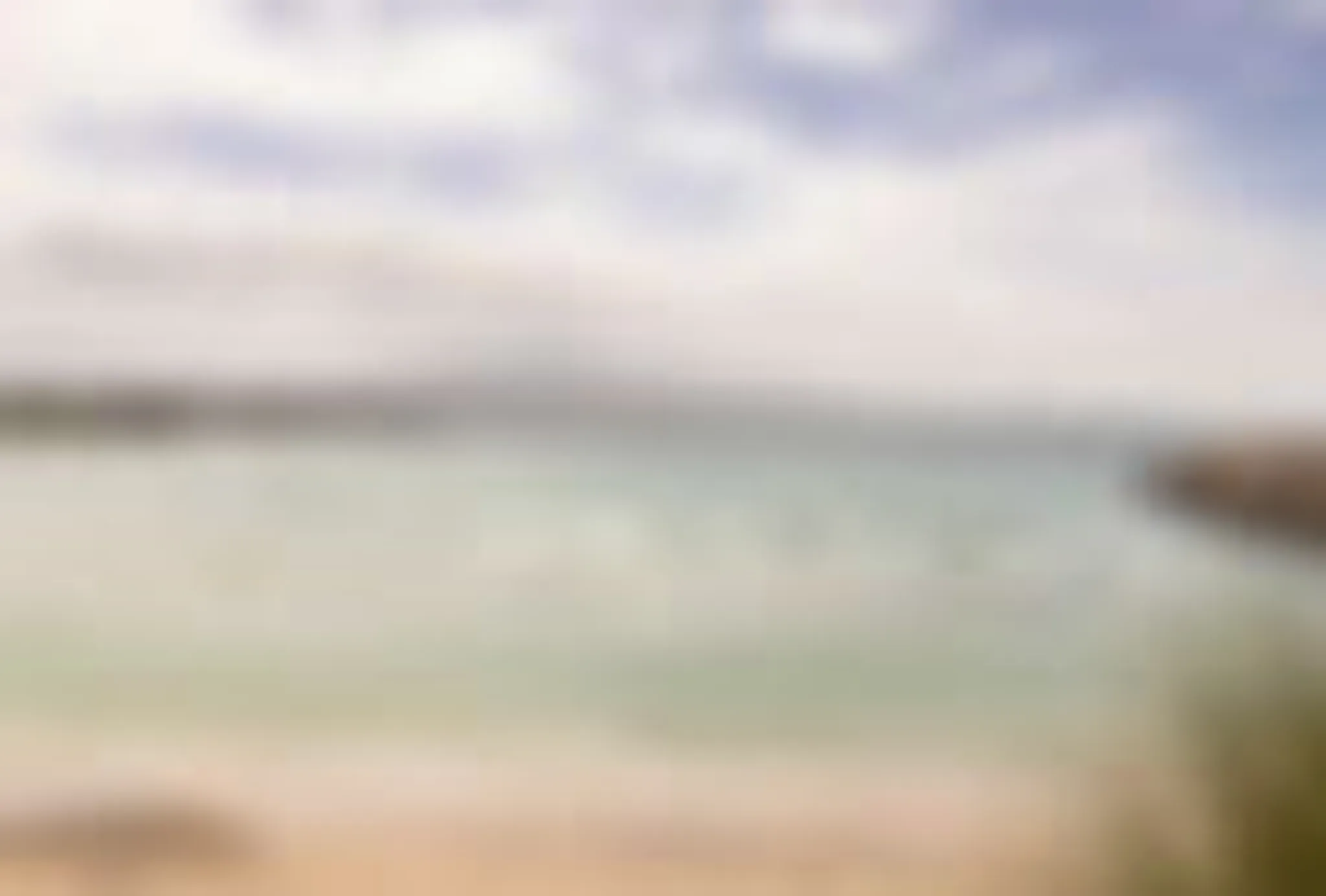 Camel Rock Surf School