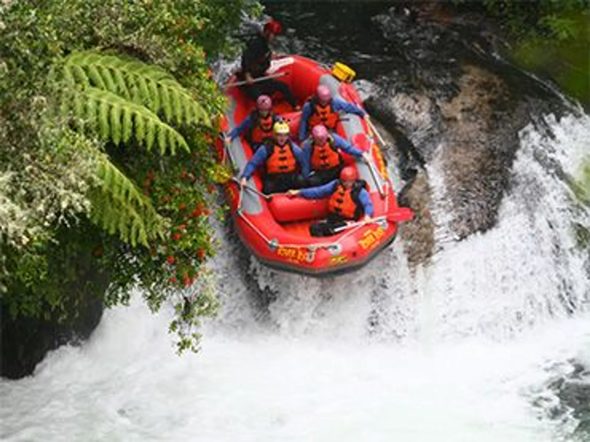 Bazil's Hostel & Surf School