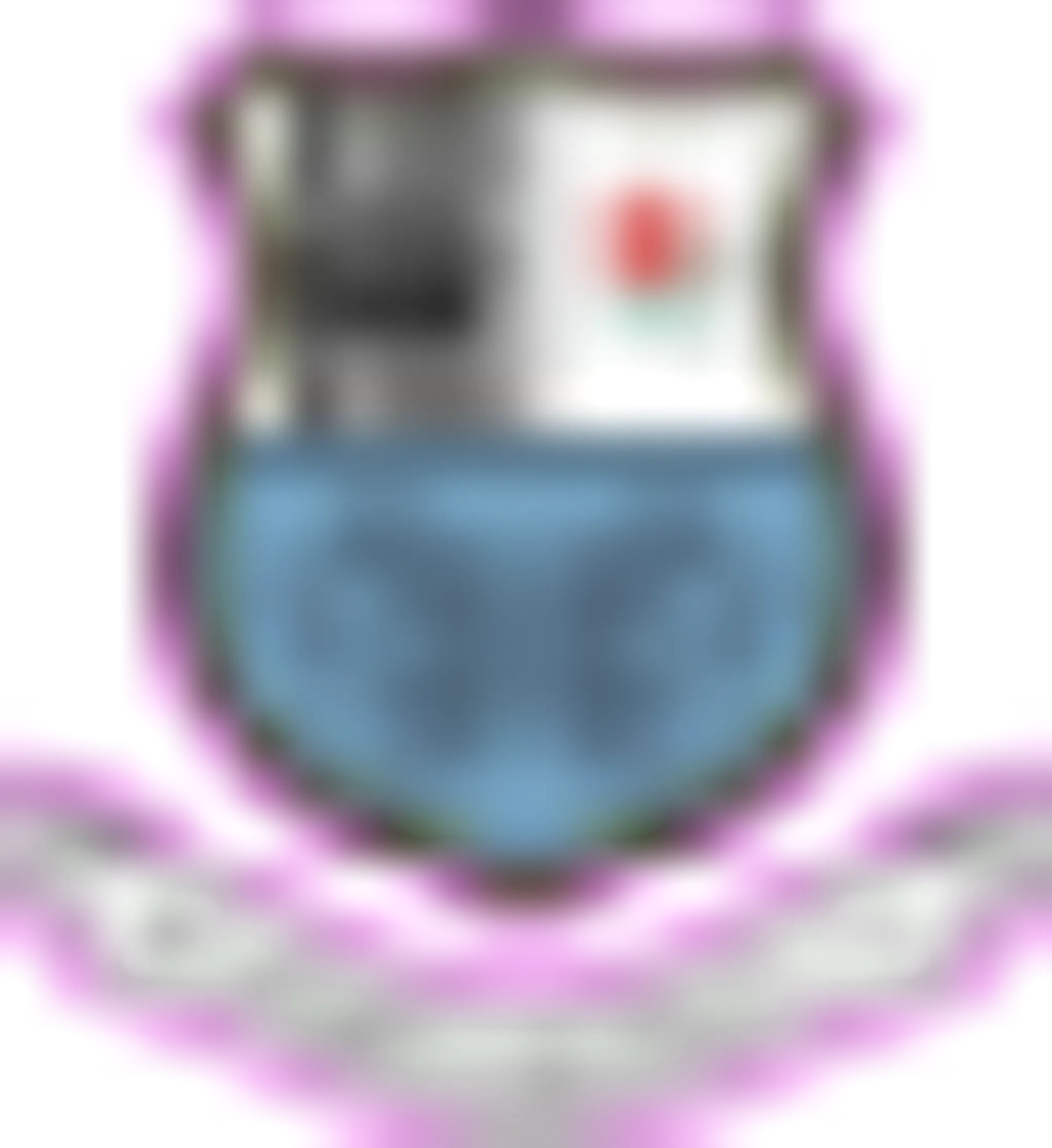 Bamber Bridge Football Club