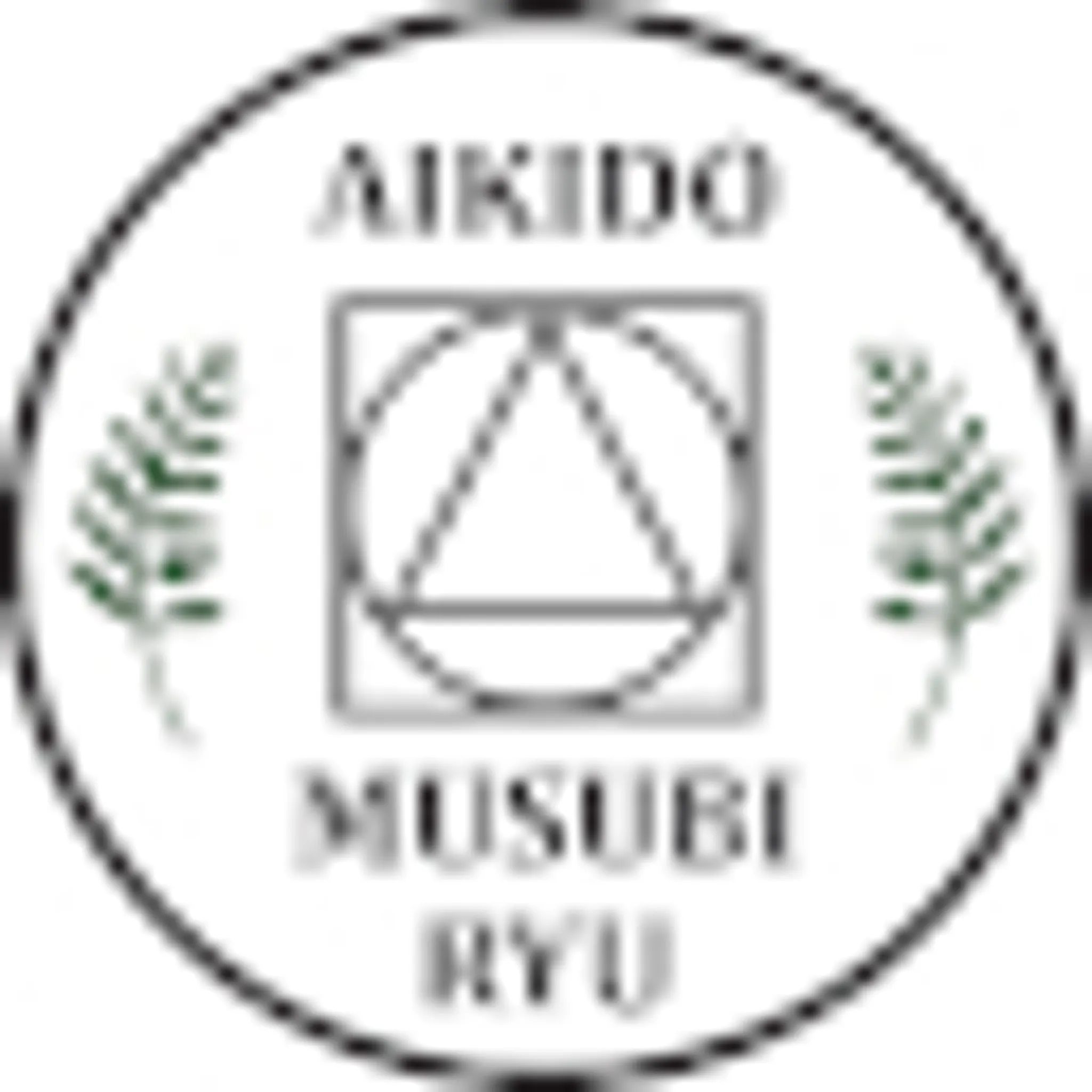Aikido Musubi Ryu