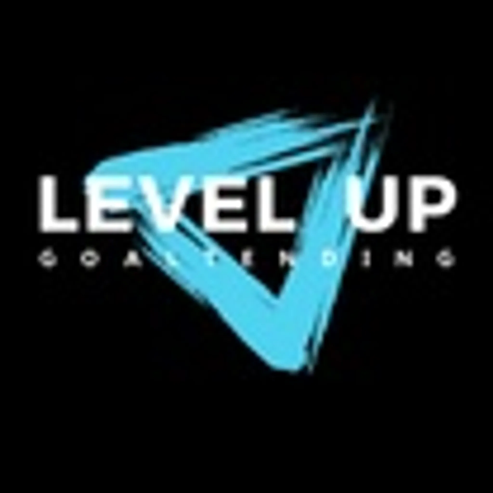 Level Up Goaltending