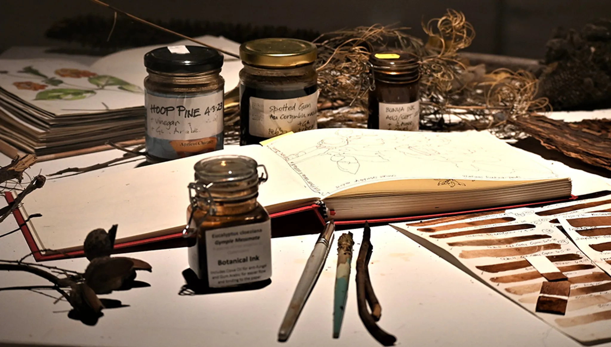 Gympie Region Studio Trails 2024 - Trail 2