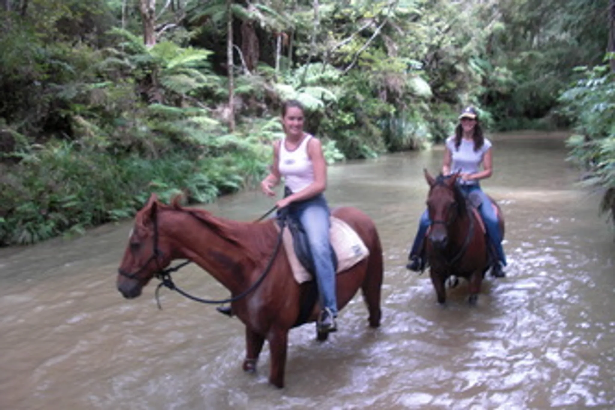 North River Horse & Humanship Centre