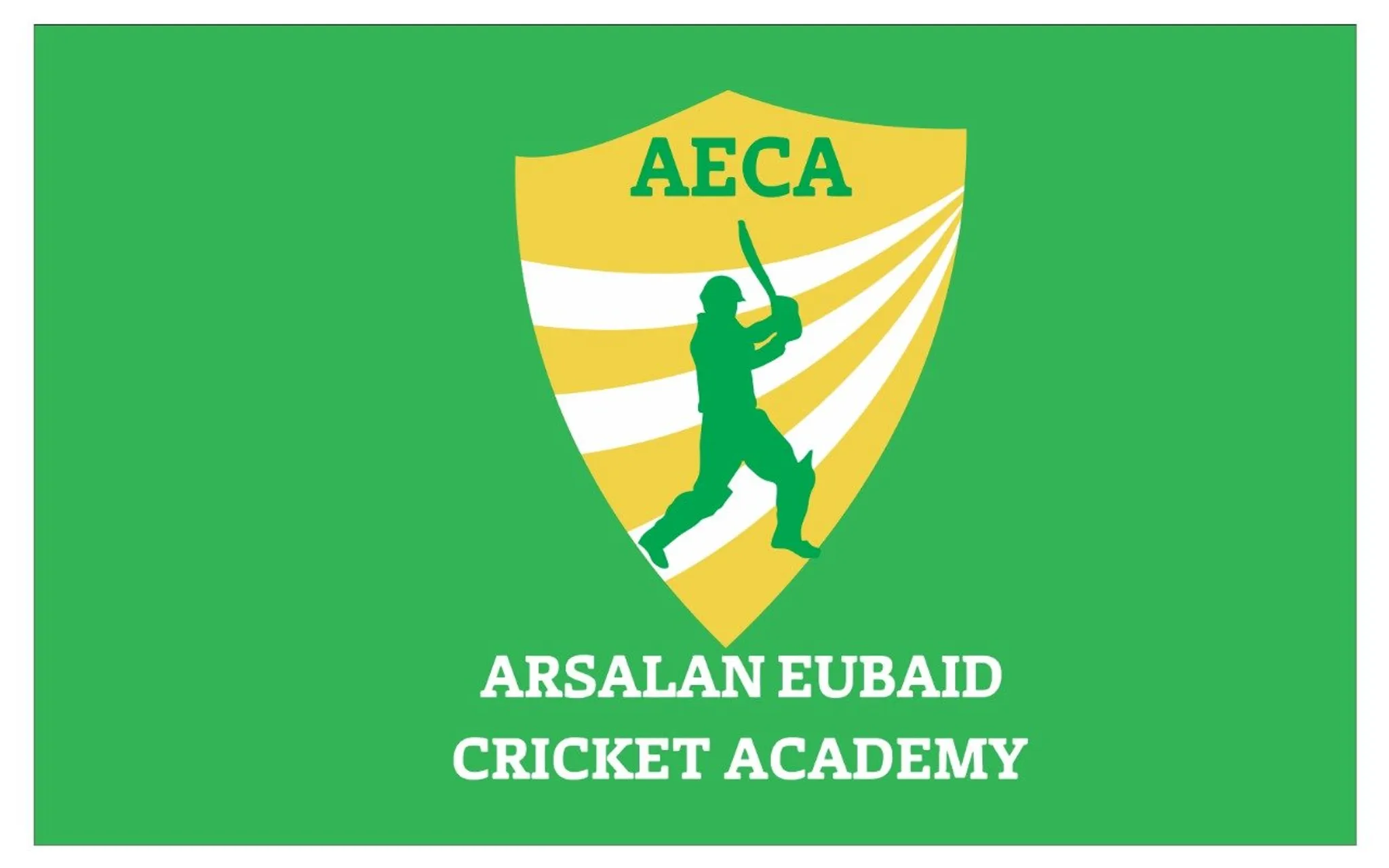 AE Cricket Academy