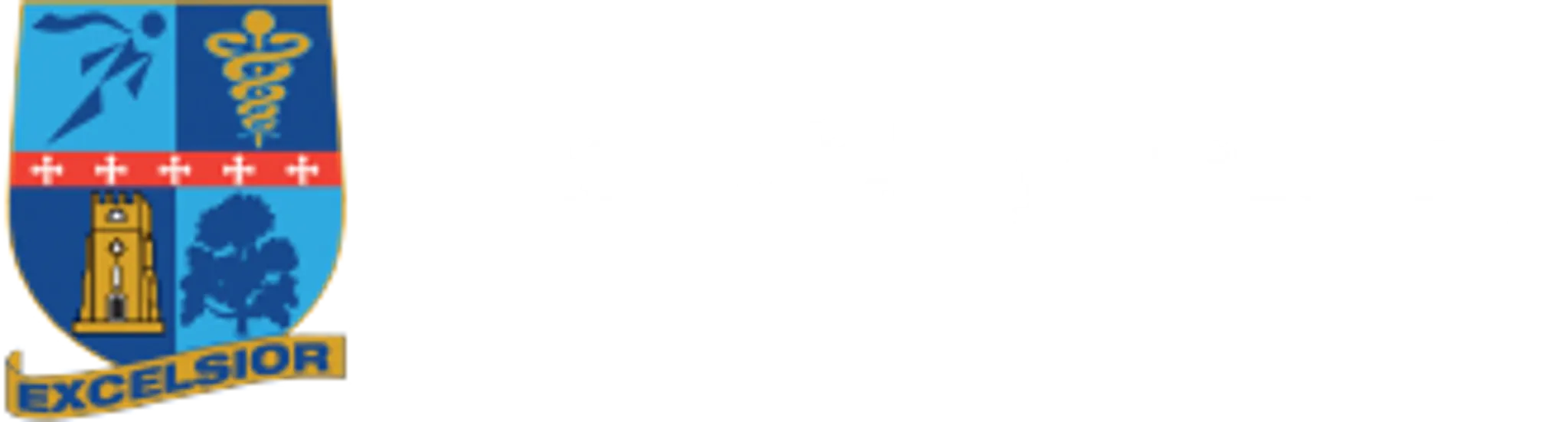 The Petchey Academy