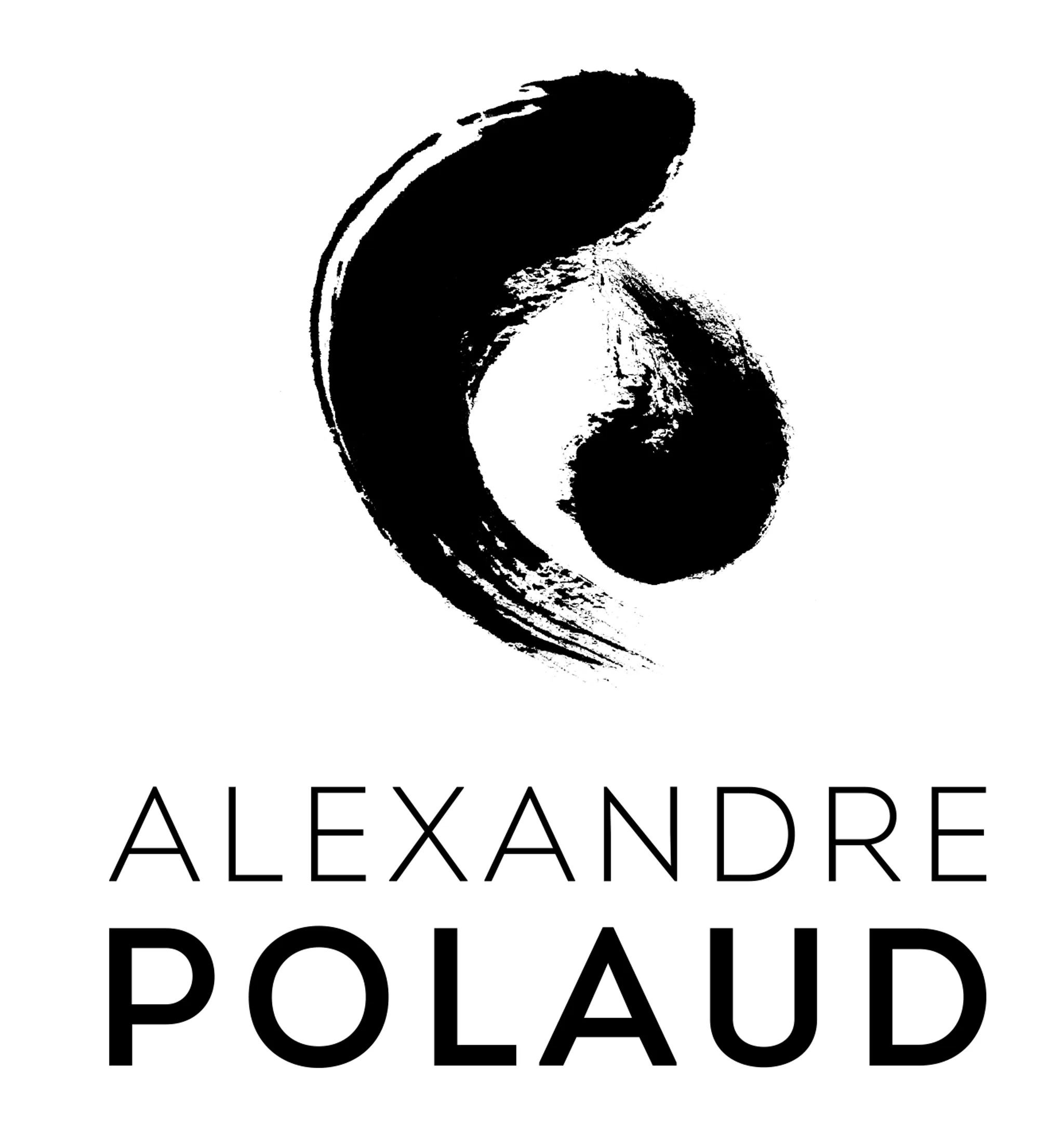 Alexandre Polaud Arts Energy Coaching Individuel Et Formations