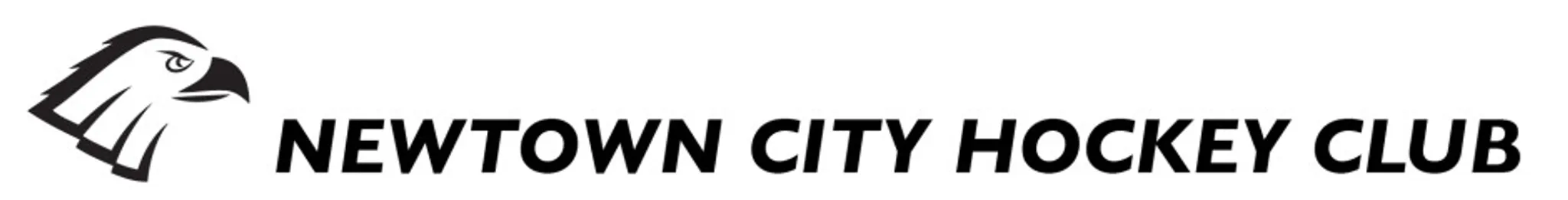 Saturday Social Hockey