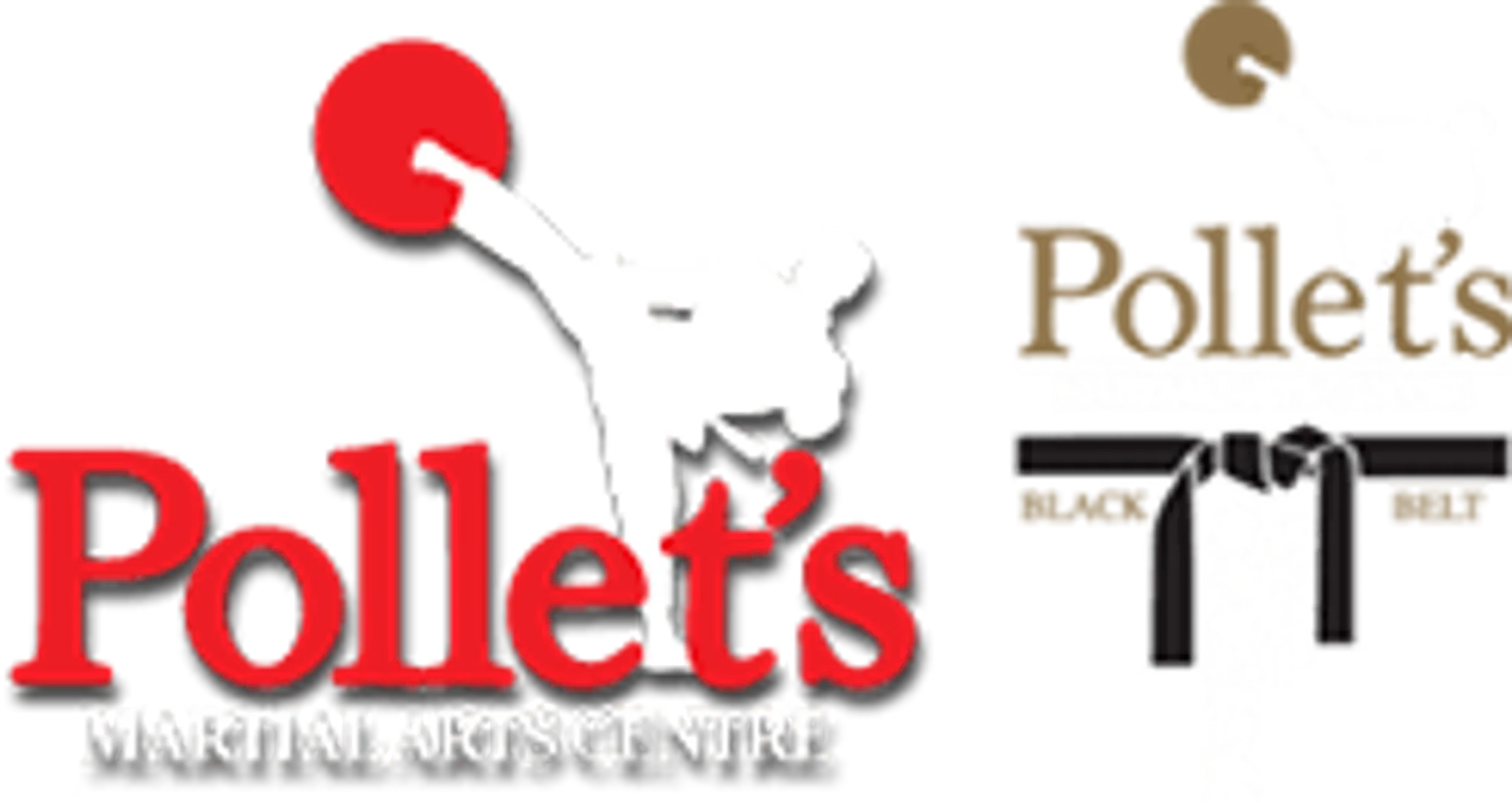 Pollet's Martial Arts Centre Penrith