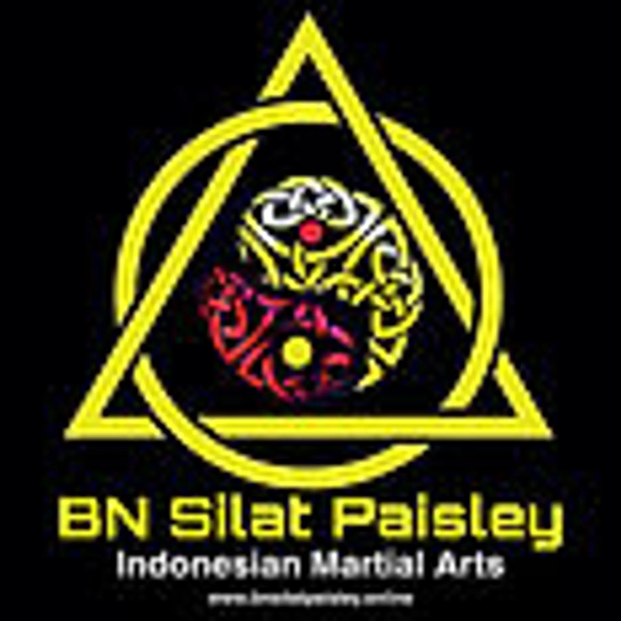 BN Silat Paisley