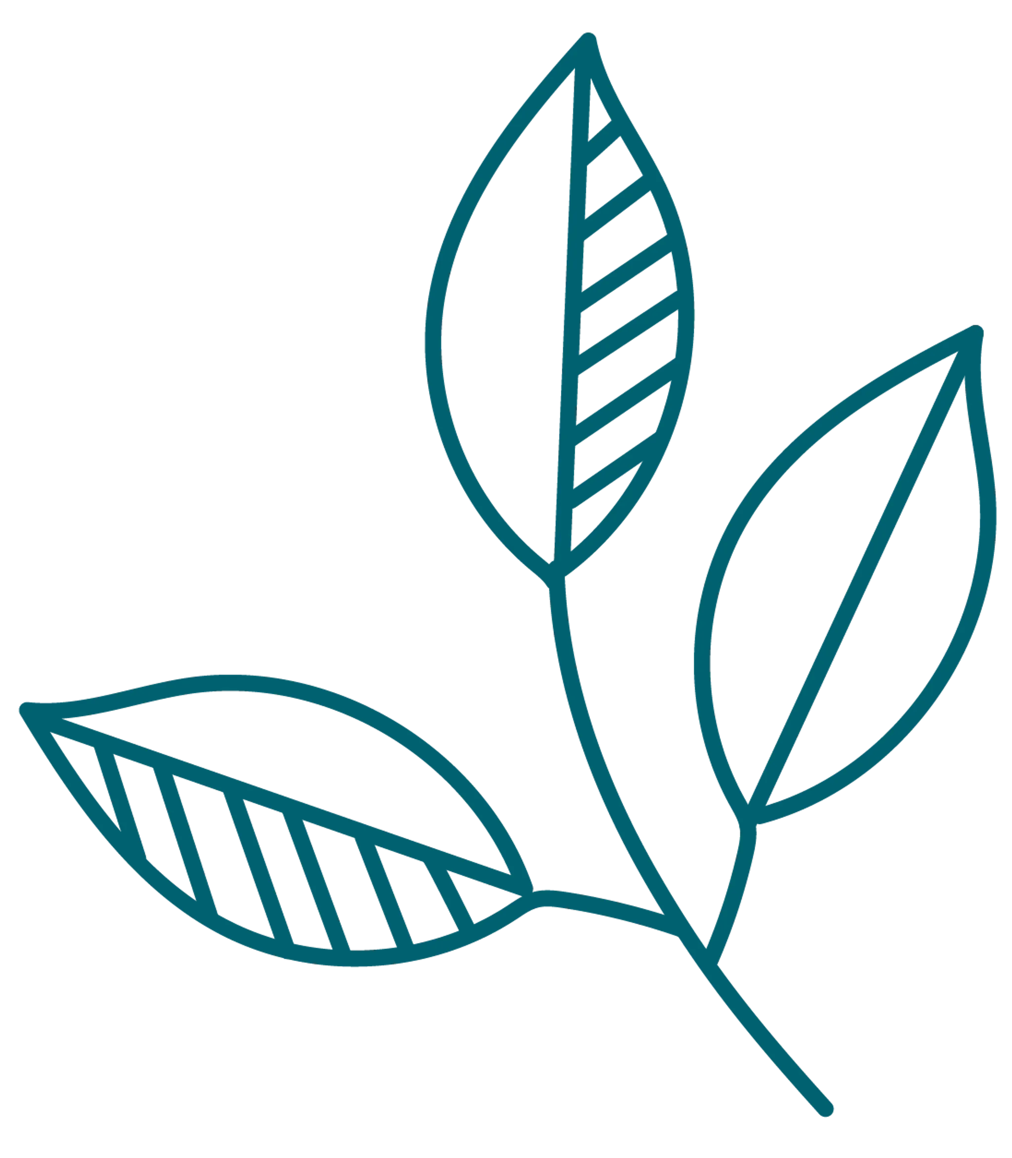 Capria Care Collective