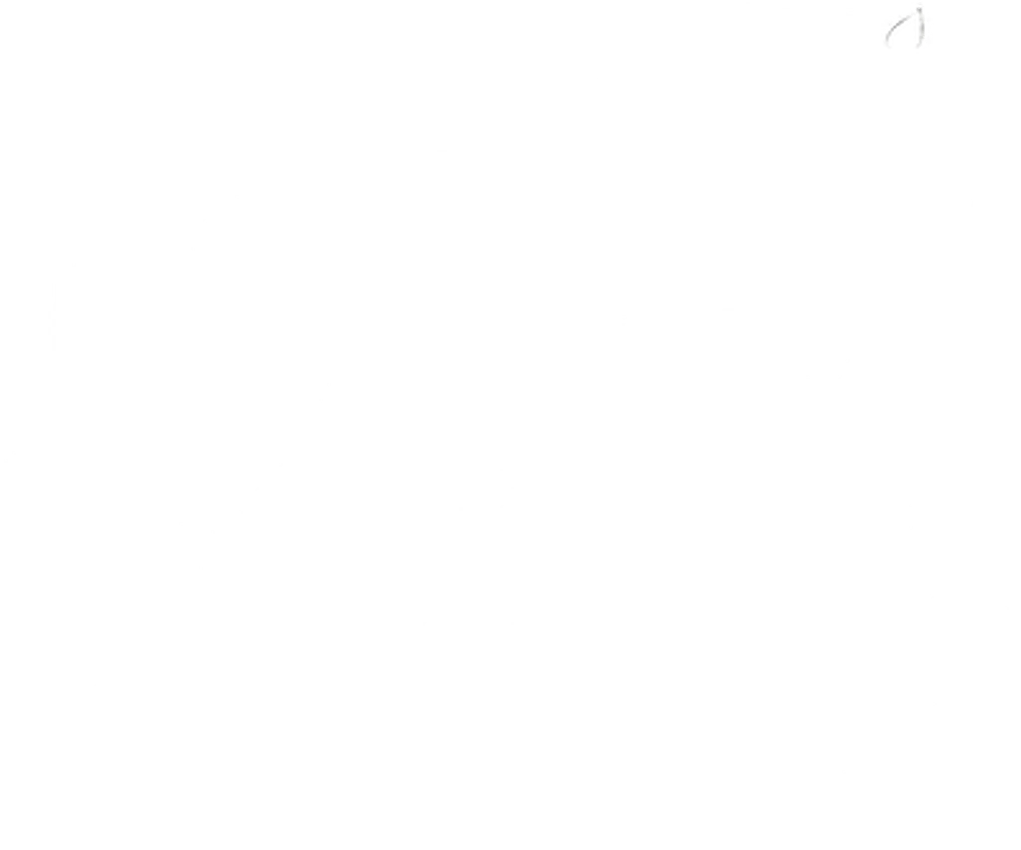 Willow's Leap Equestrian and Willow's Retreat Accommodation