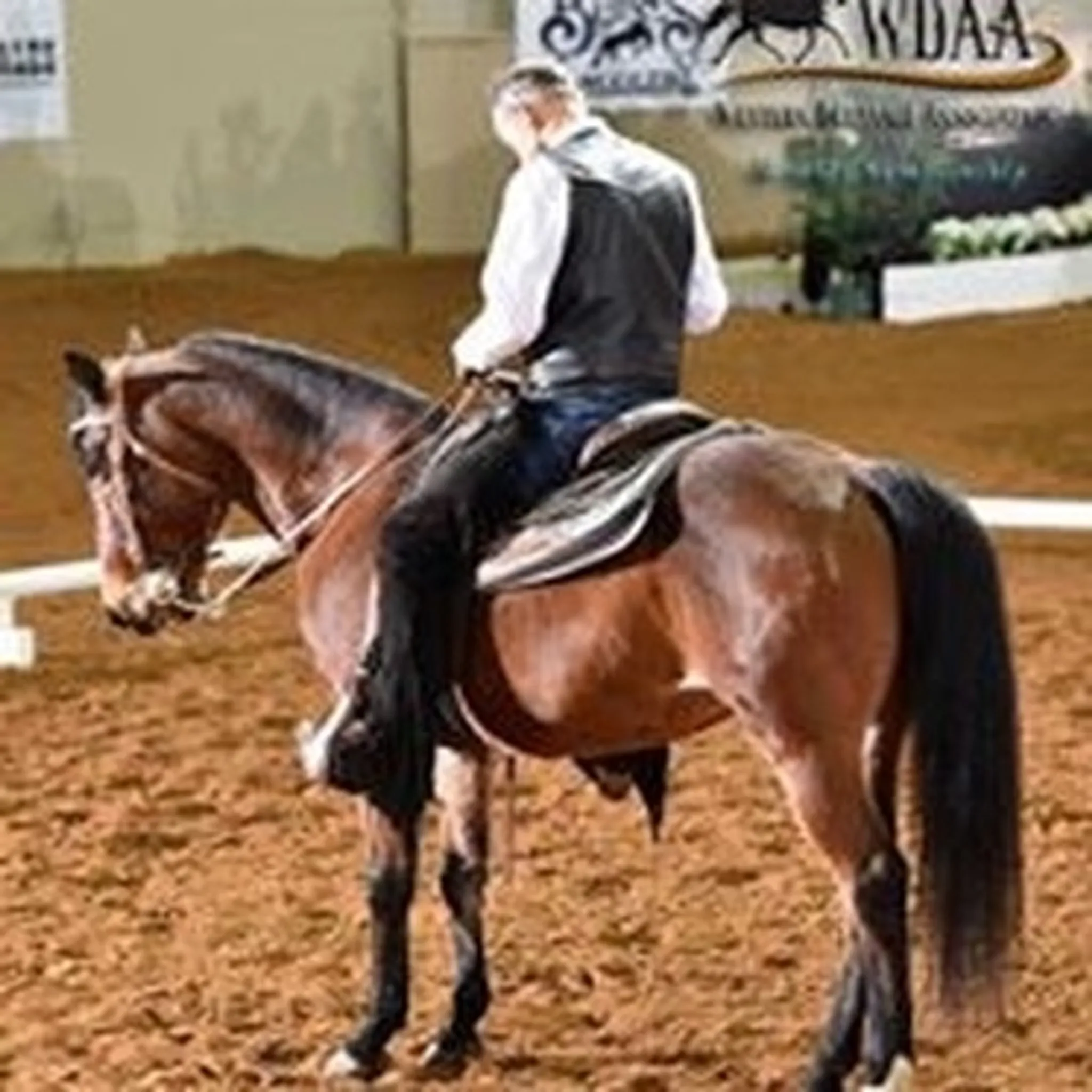 K, And, K, Training, Stables,.