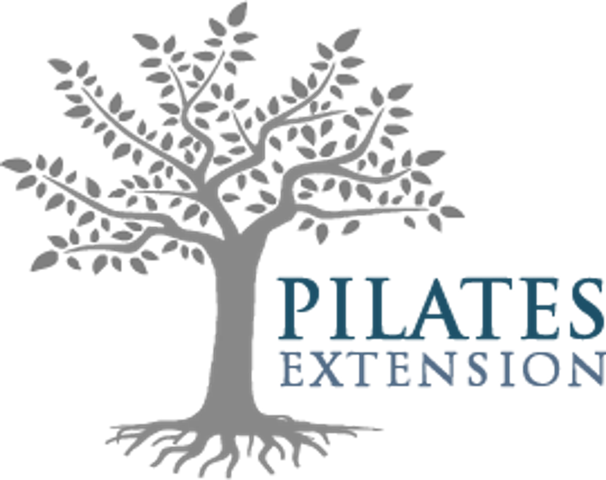 Pilates Extension