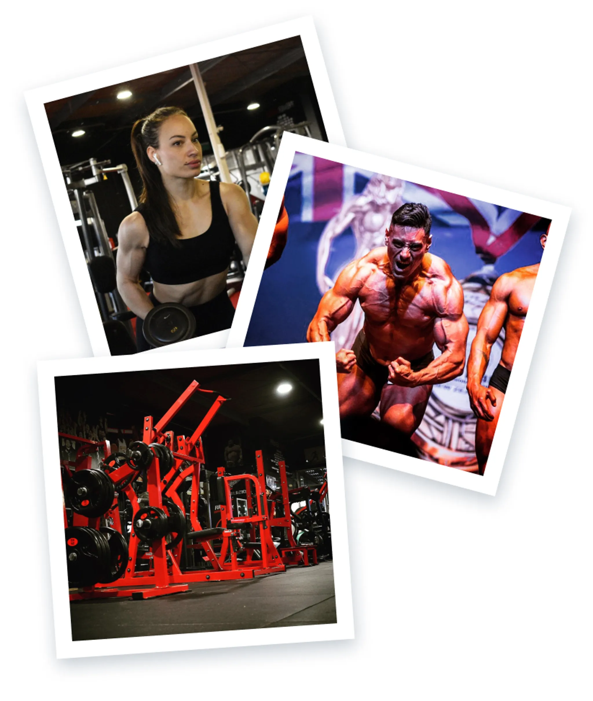 Premier Fitness (Whanganui)