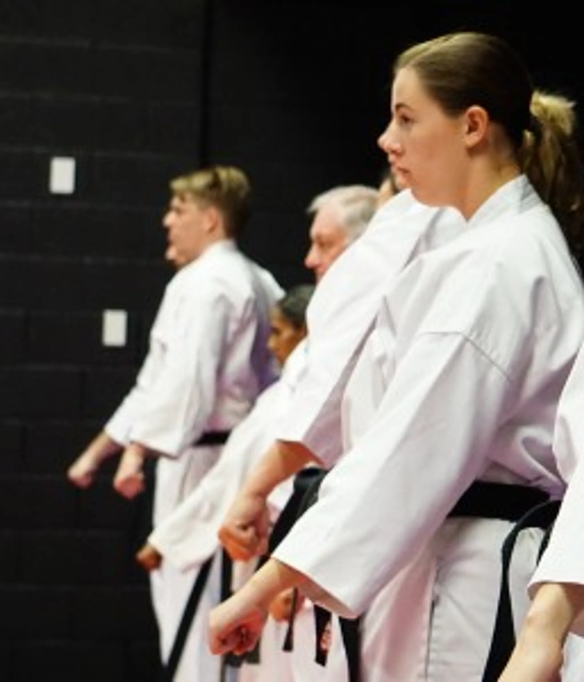 Goju Ryu Karate Do Classes