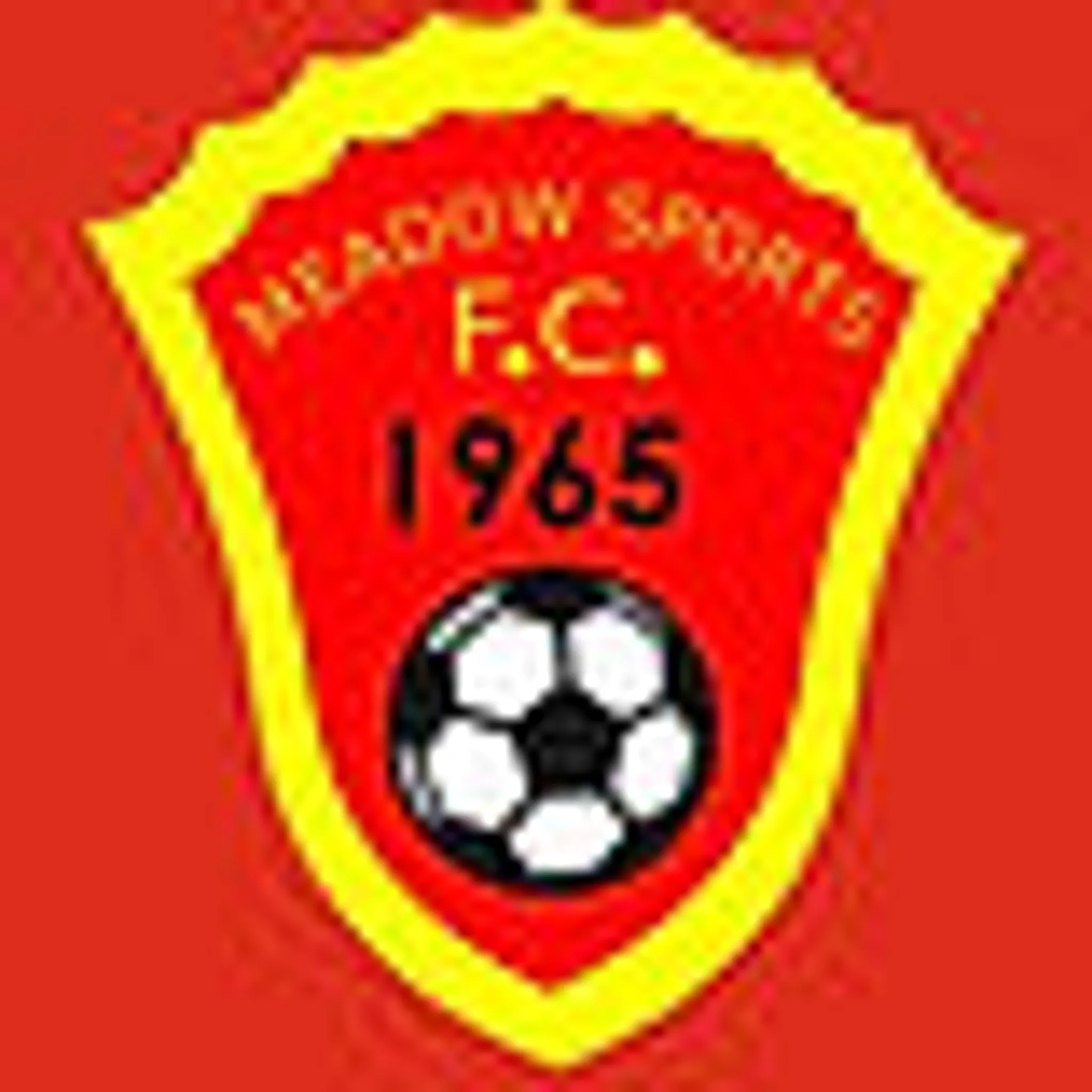 Meadow Sports FC
