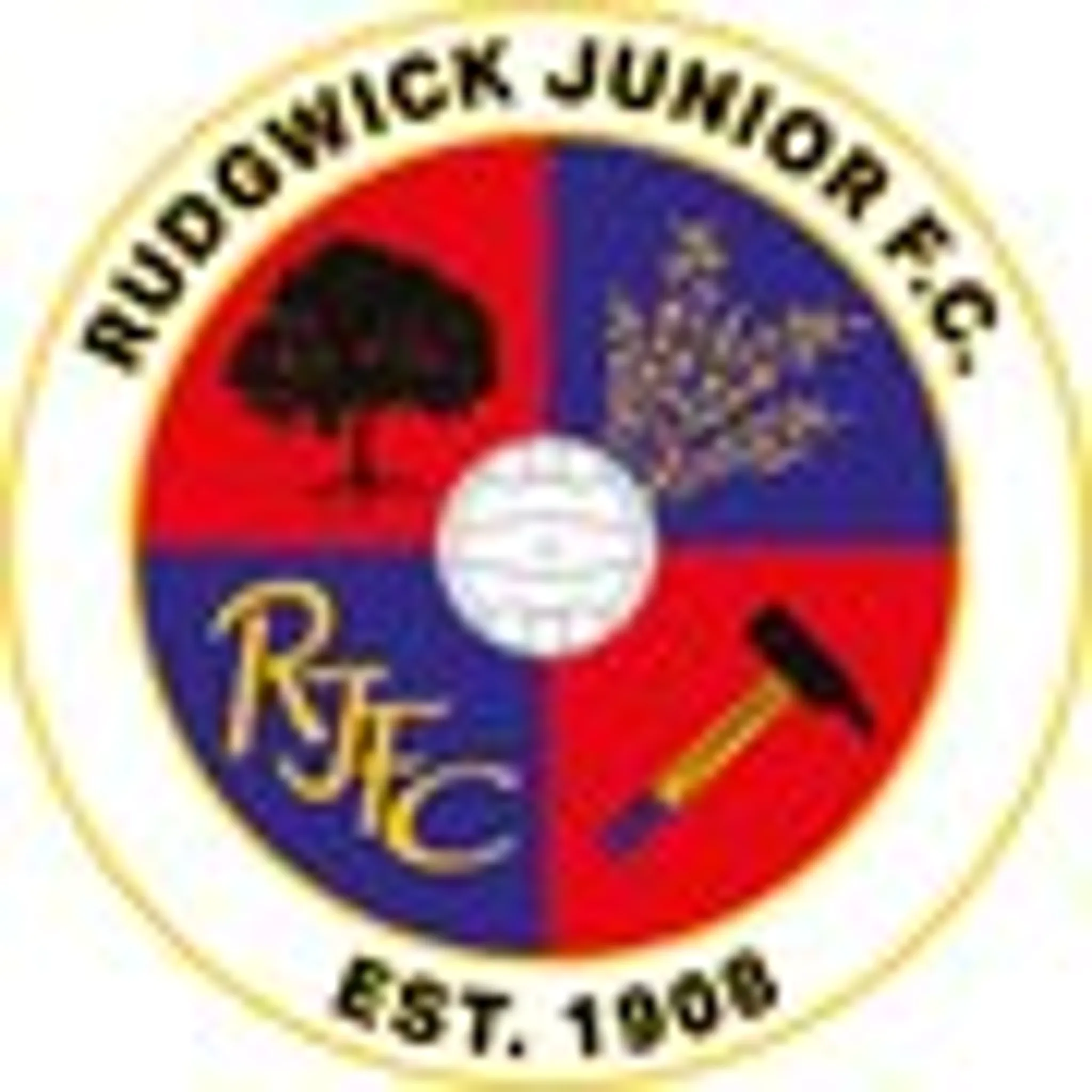 RUDGWICK JUNIOR FOOTBALL CLUB
