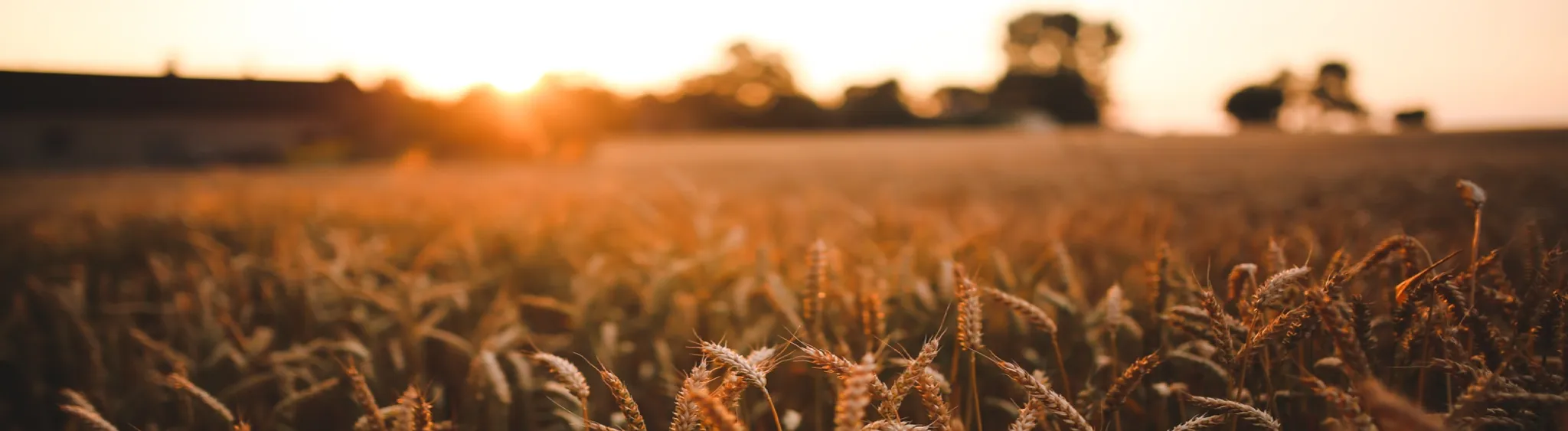 Harrogate Flyfishers' Club