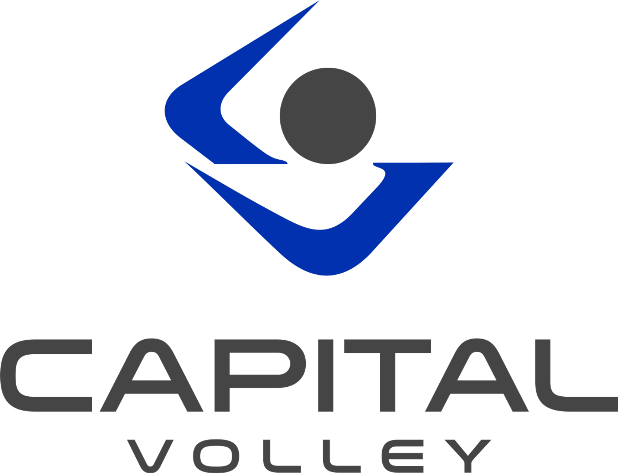 Capital Volley