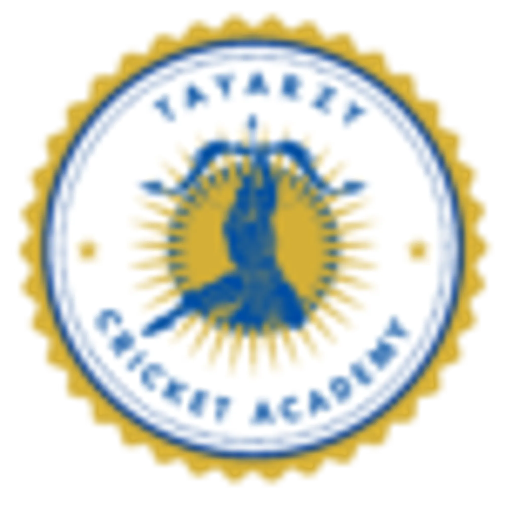 Tayarzy Cricket Academy