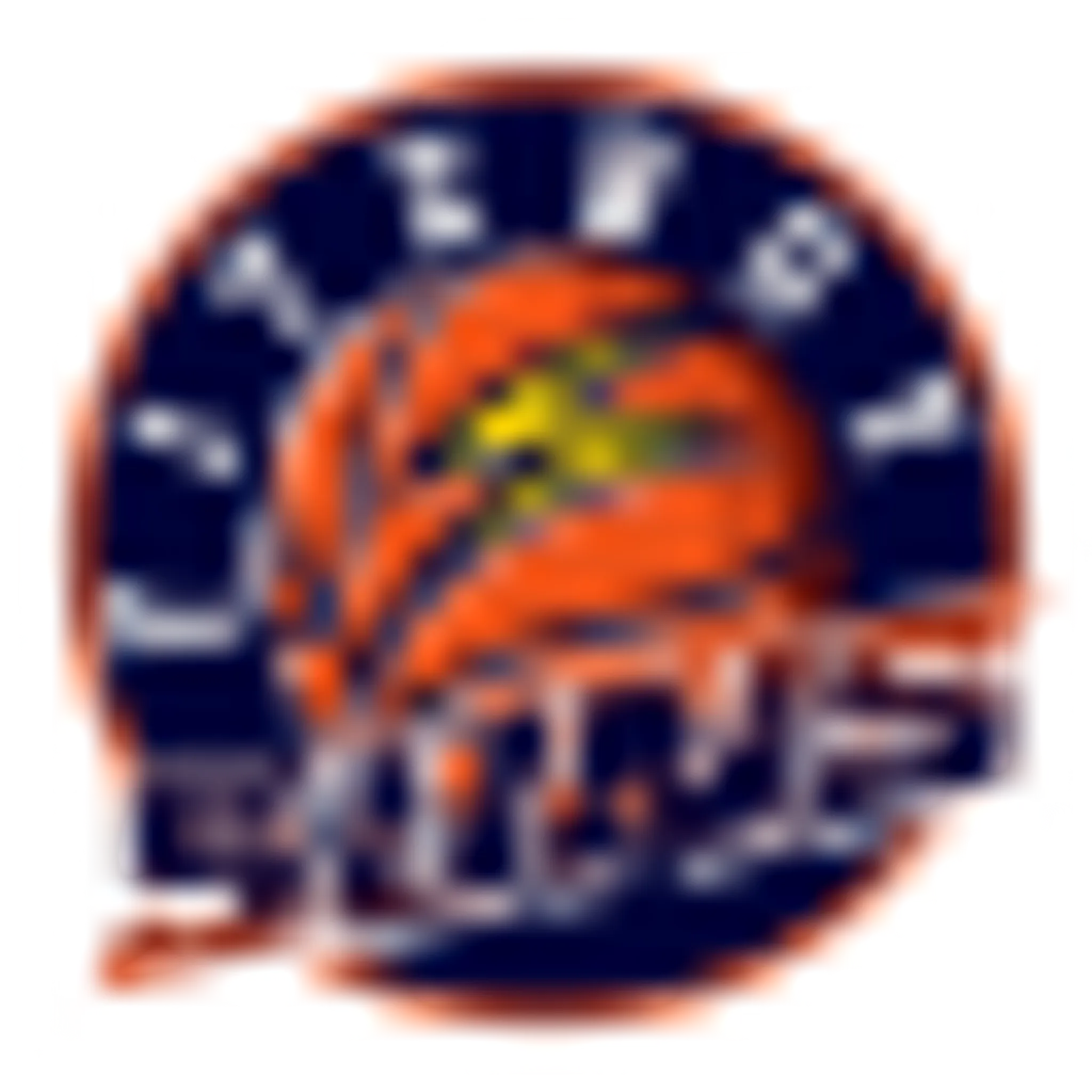 Melbourne Basketball League Pty Ltd - MBL