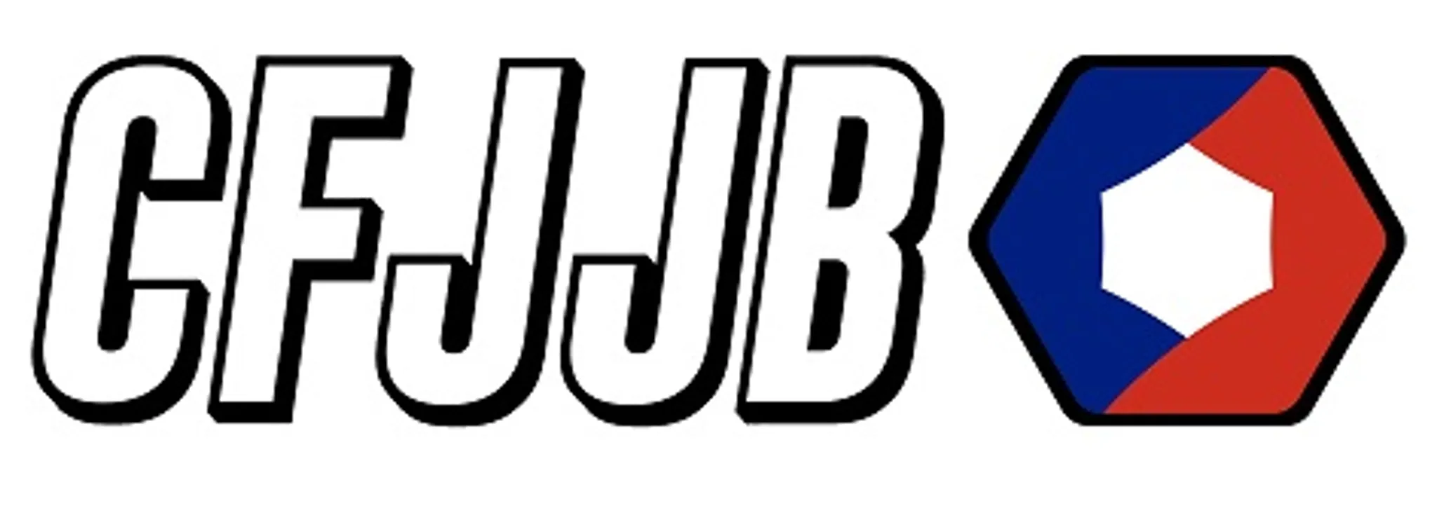 ICON JIU-JITSU TEAM - Pays Basque