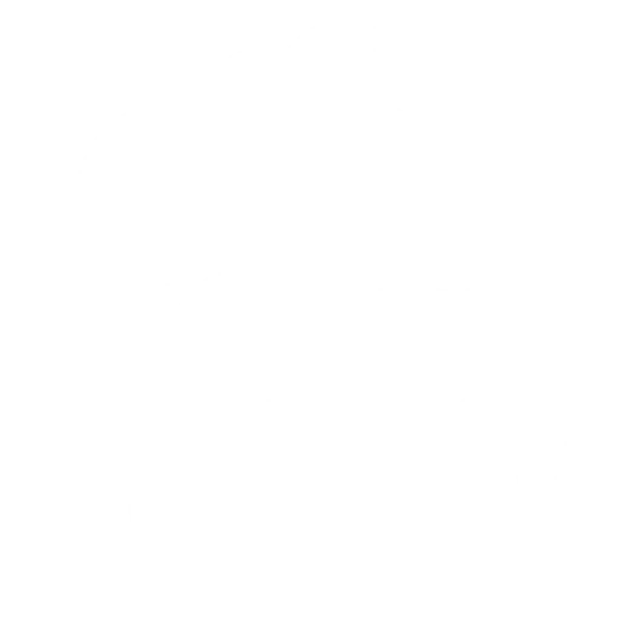 Chi Junky