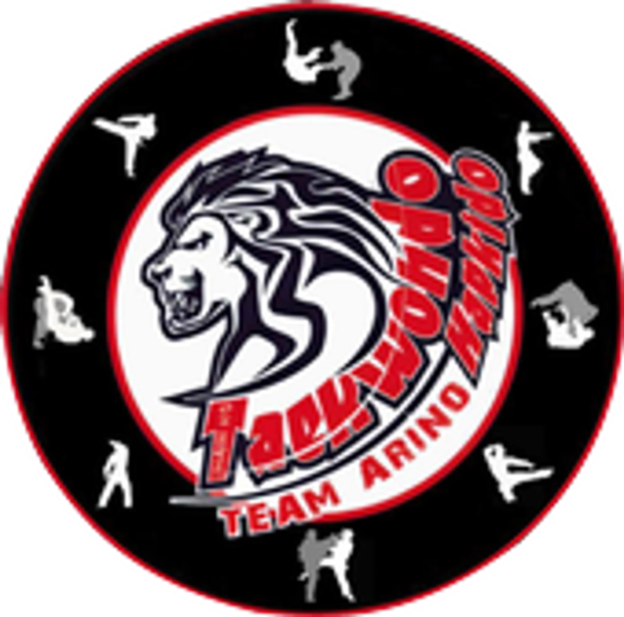 Taekwondo Agde Team Arino