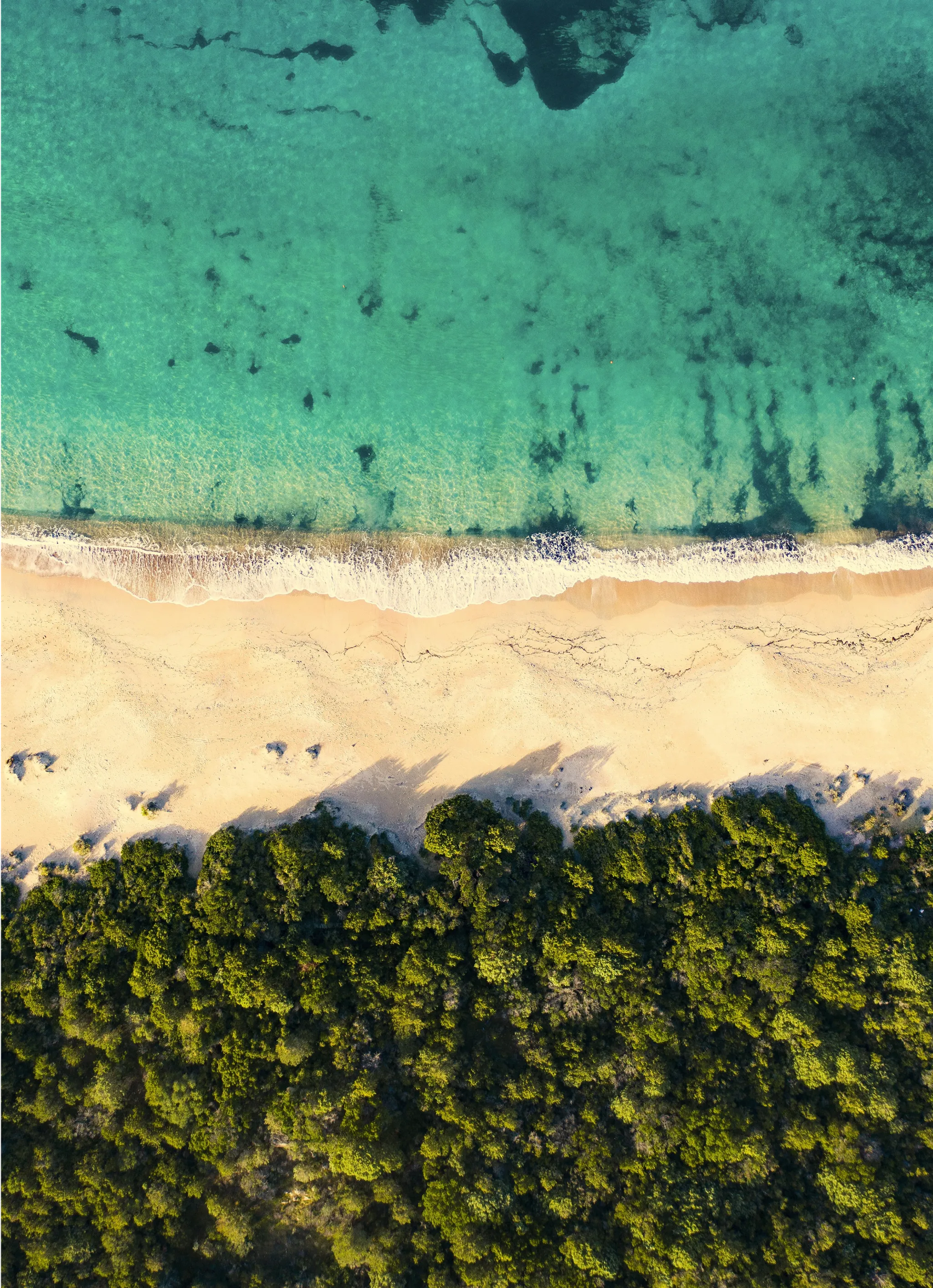 Yoga Teacher Training in Southern Sri Lanka