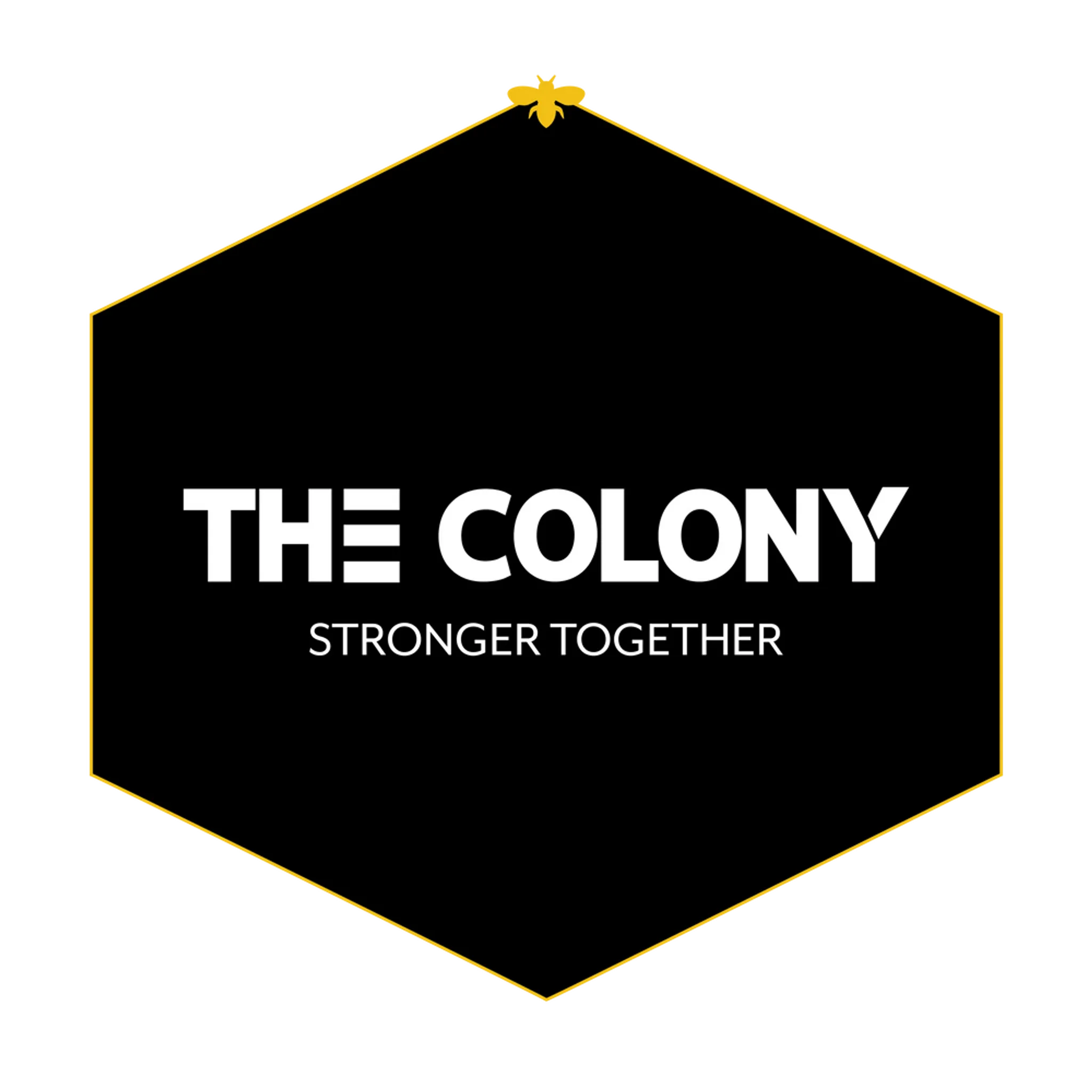 The Colony Health and Fitness Gym
